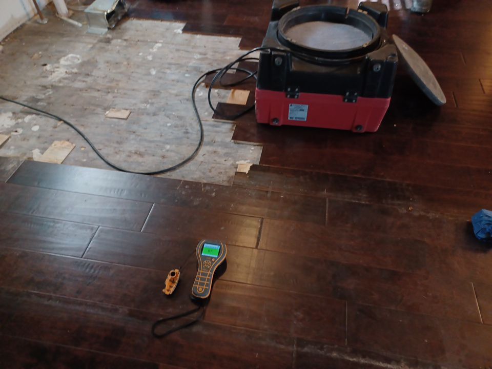 Project in Sterling Heights by EzDry Water Mitigation & Property Restoration