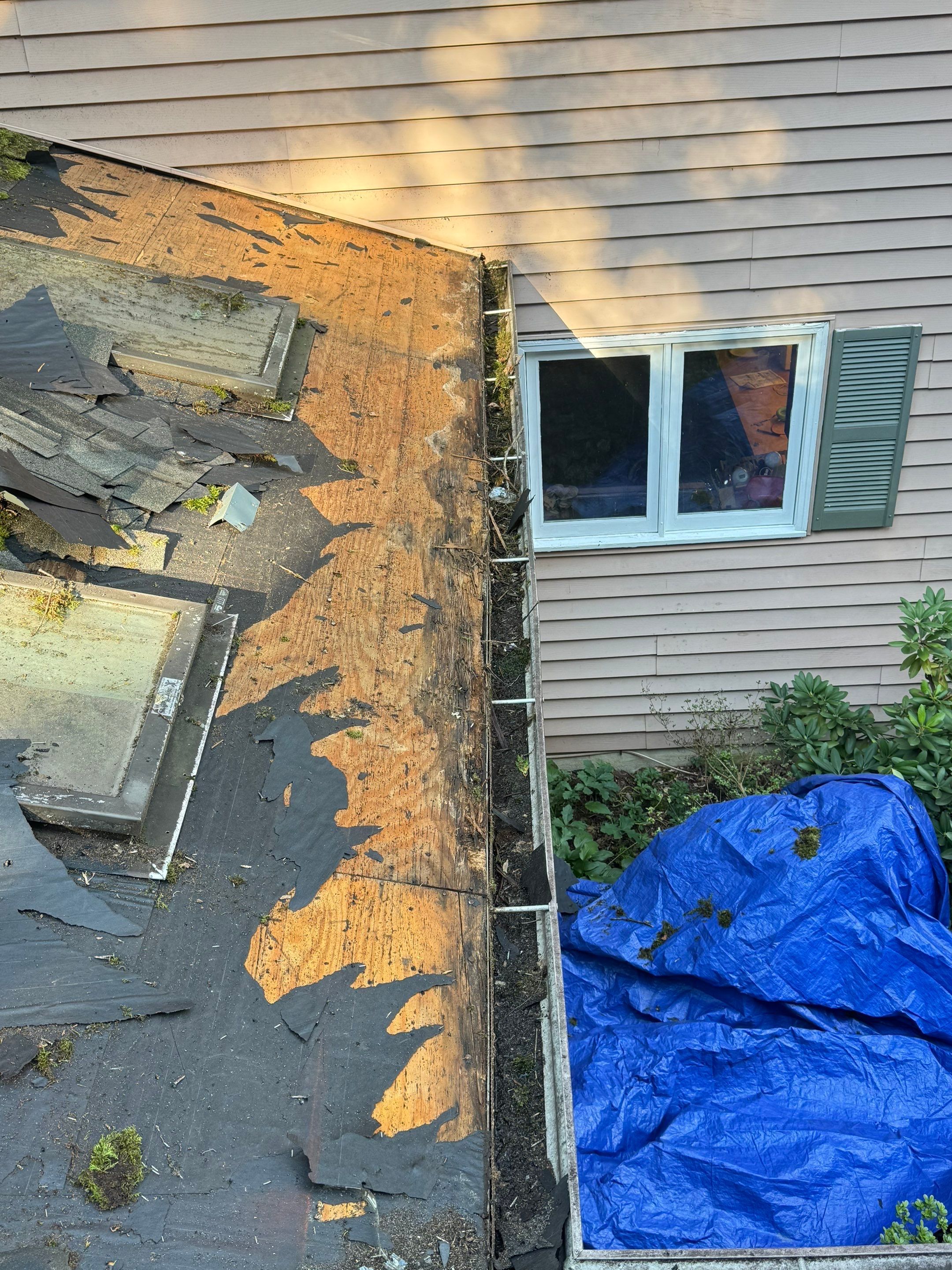 Comprehensive Architectural Shingle Roof Replacement and Skylight Installation in Laurel by First Chesapeake Roofing