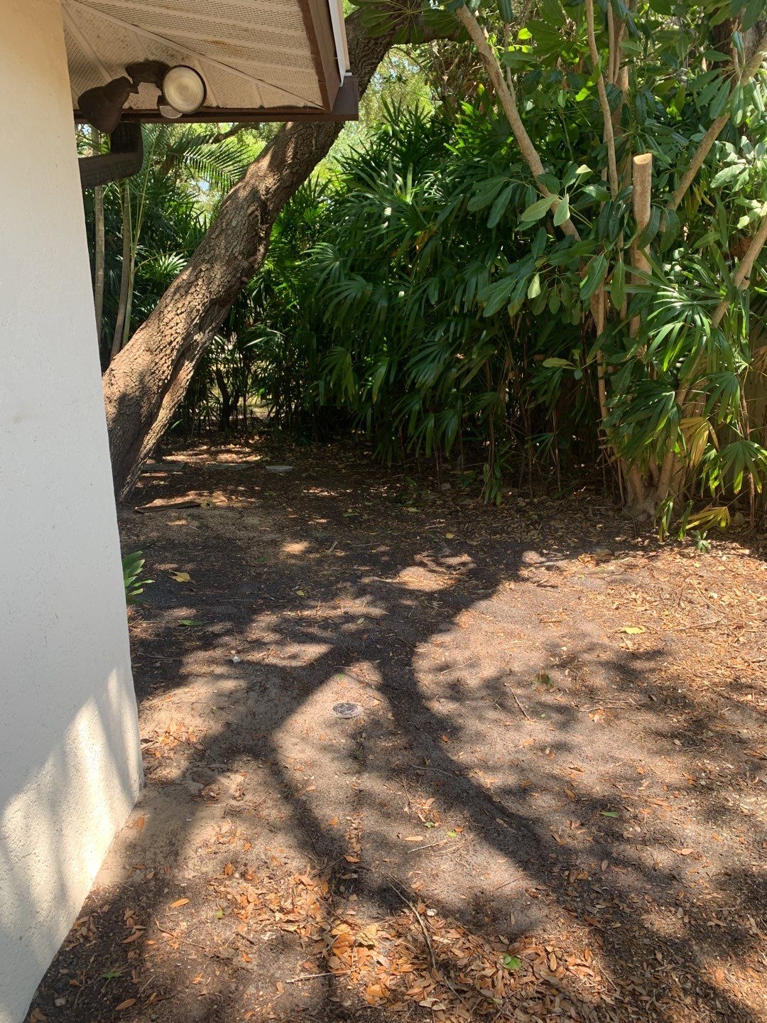 Sarasota, FL 4ft. Tall Treated Board on Board Fence by Asap fence and gates, LLC