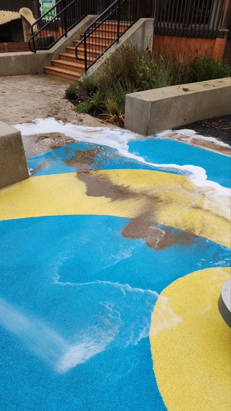 Gilbert House Children's Museum by Willamette Outdoor Wash LLC
