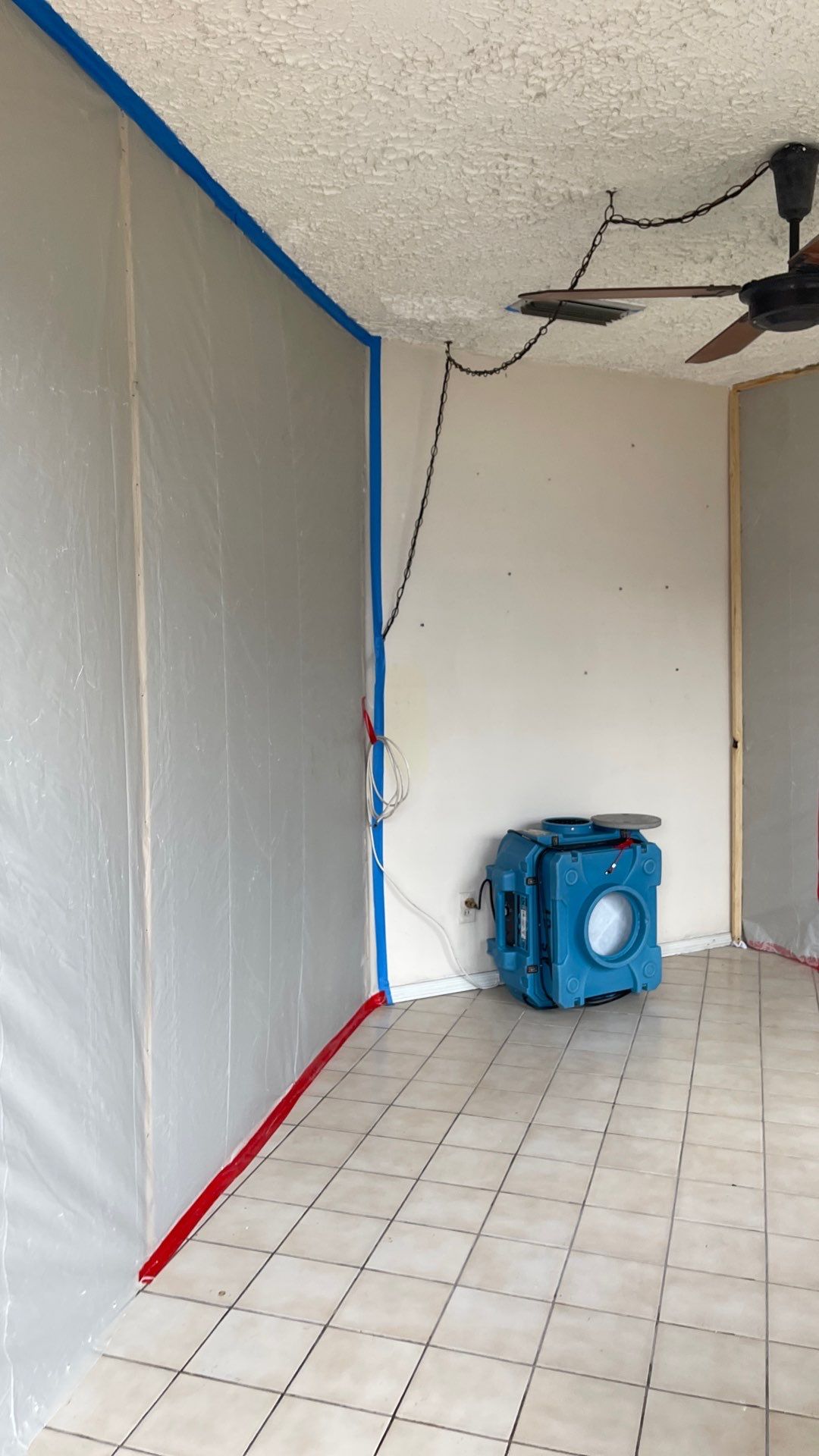 Mold Remediation  by THE RAPID TEAM