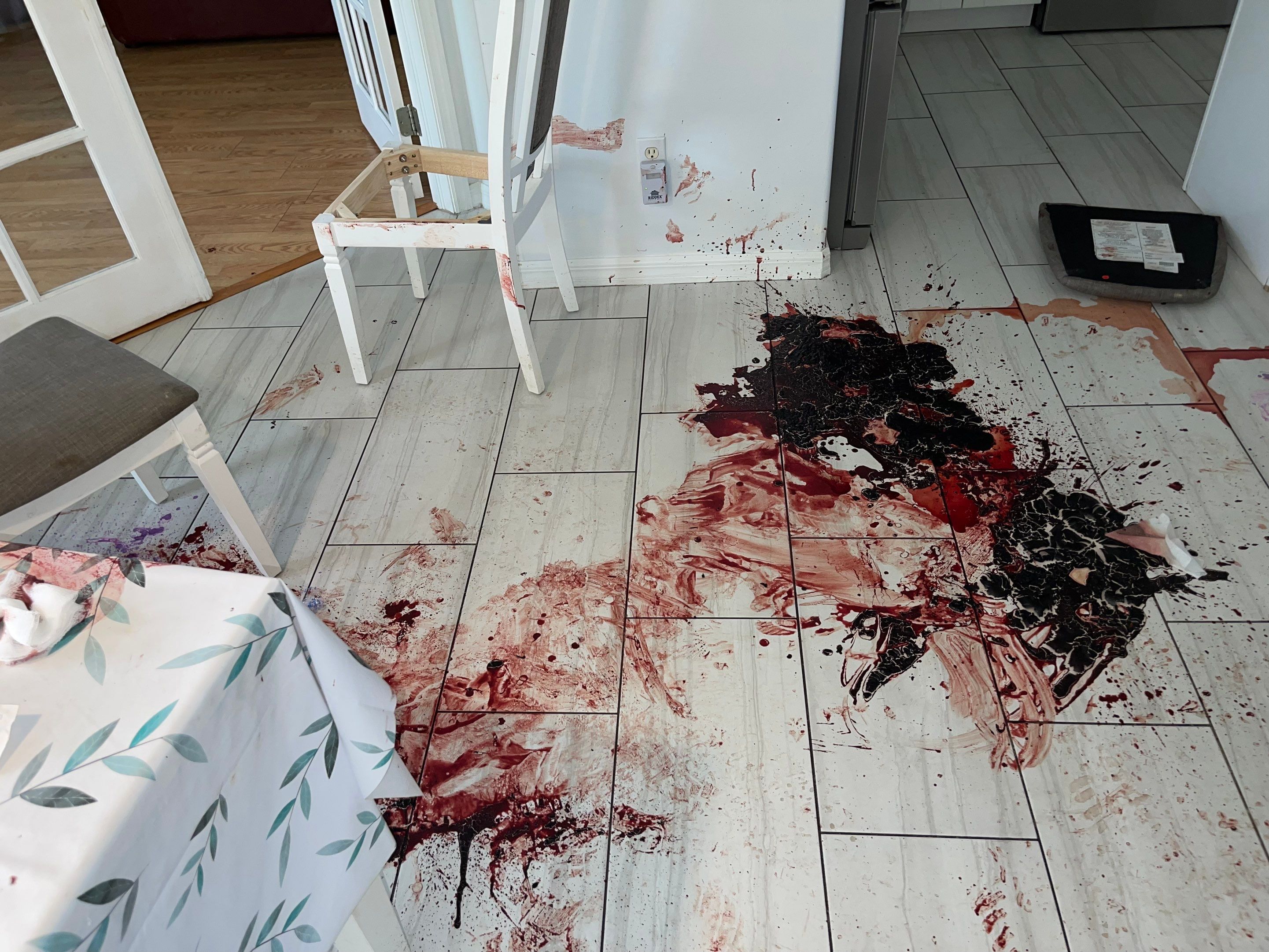 Murder Cleanup / Drug Decontamination in Naples by Sadie’s Pro Cleaning