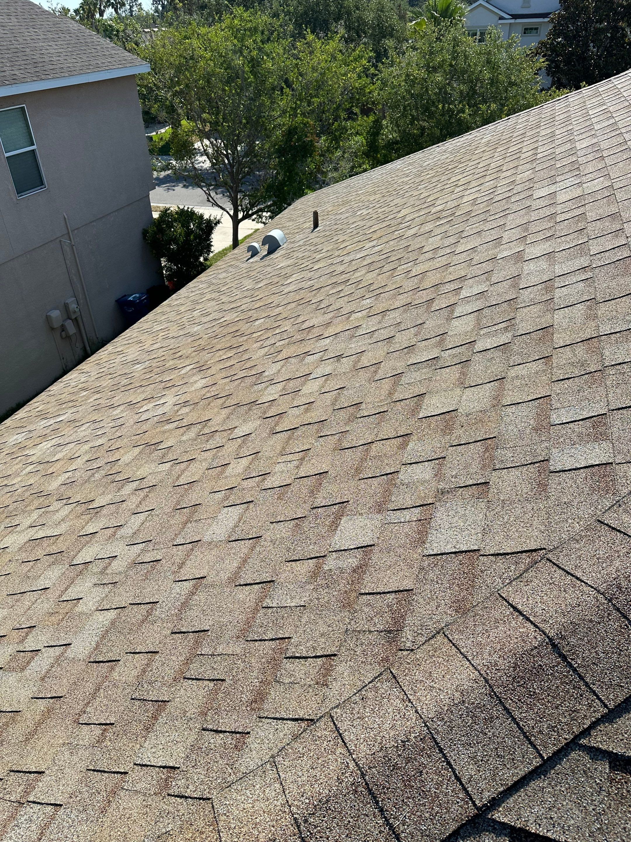 Asphalt Shingle Roof Soft Wash Cleaning & Concrete Pressure Washing in CopperStone Community, Parrish, FL by Sunshine AquaWash