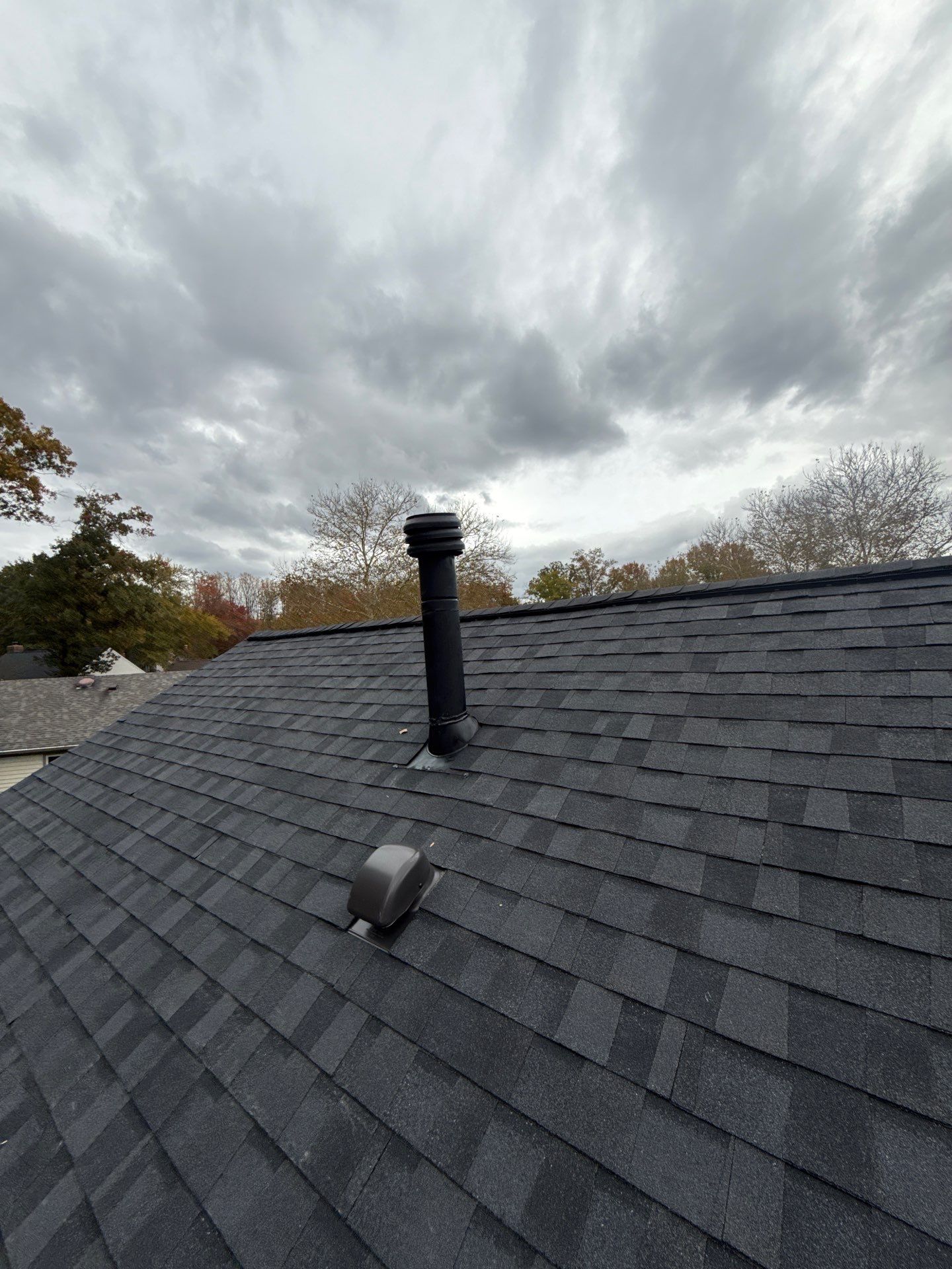 Alexandria :Residential Roof Replacement with CertainTeed Landmark Pro in Max Def Moire Black  by RM Banning, Inc.