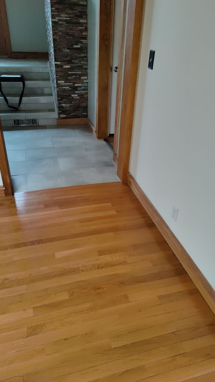 Mold Damage by Accountable Home Services