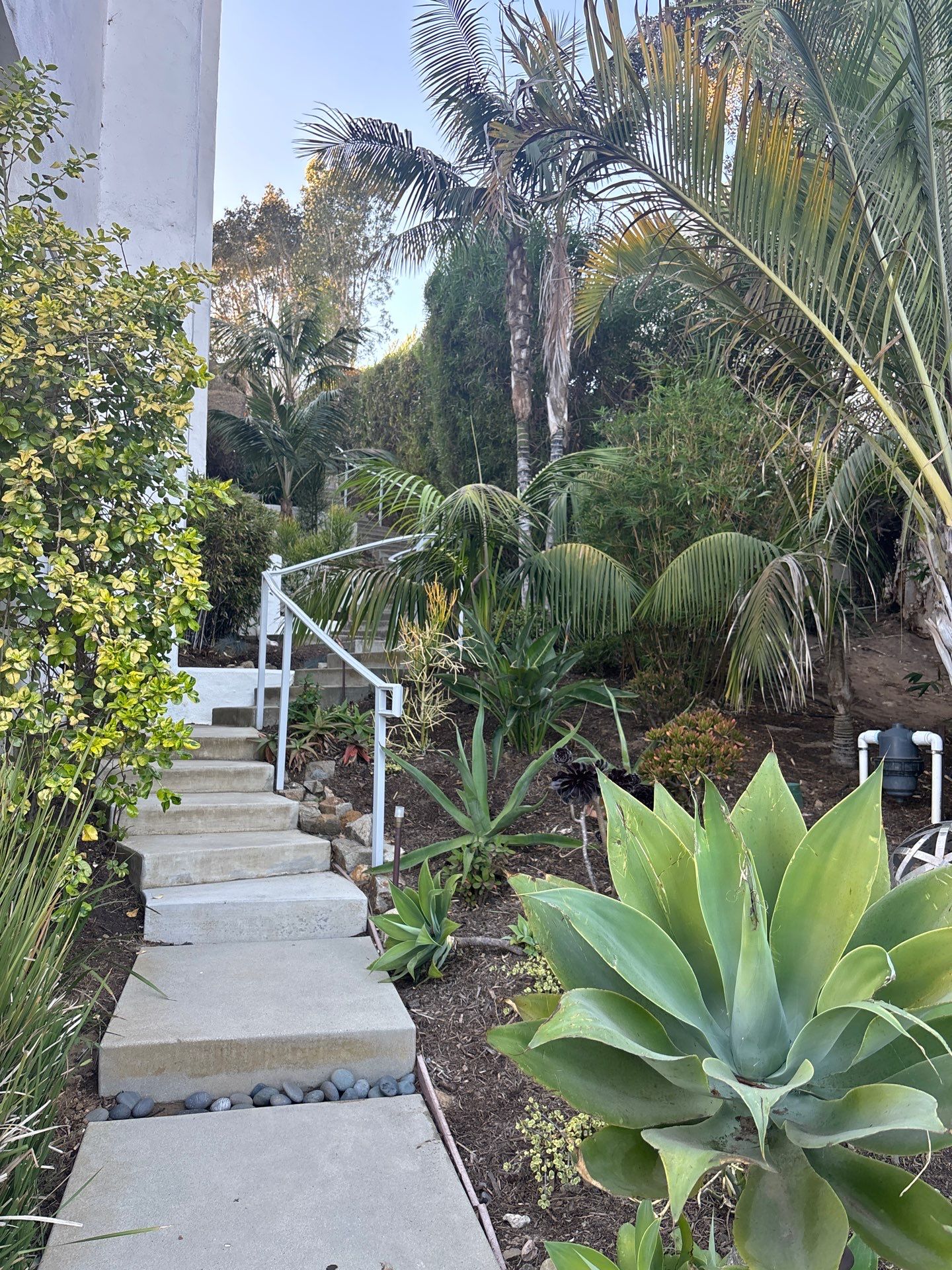 Checking Outdoor Water Valves and Inspecting for Leaks by Us Plumbing
