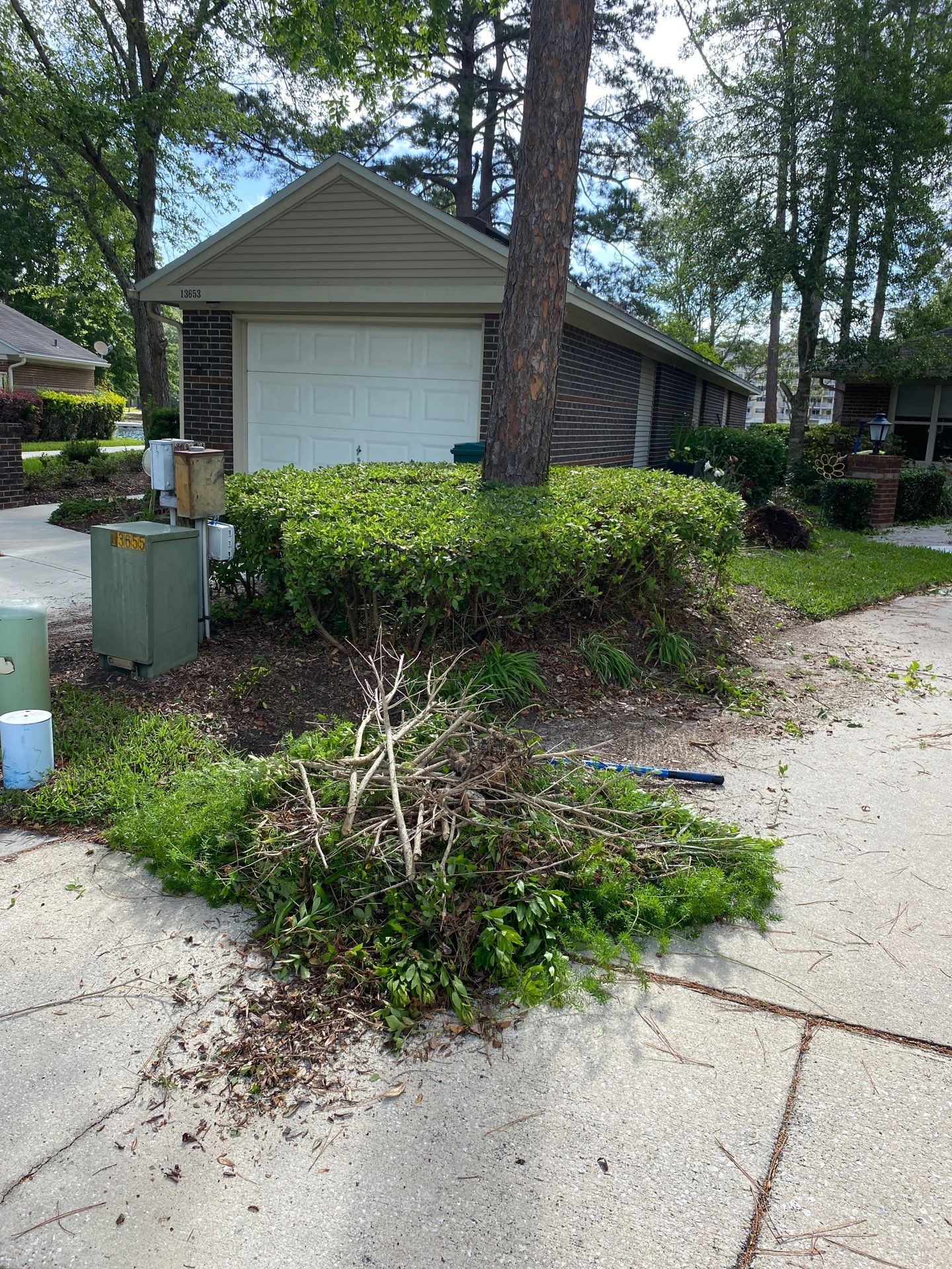 Residential | Volunteer Clean-Up by ProGreen Services