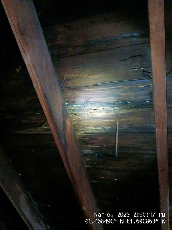 Roof Damage using structual repair and remodel by Absolute Roofing and Construction