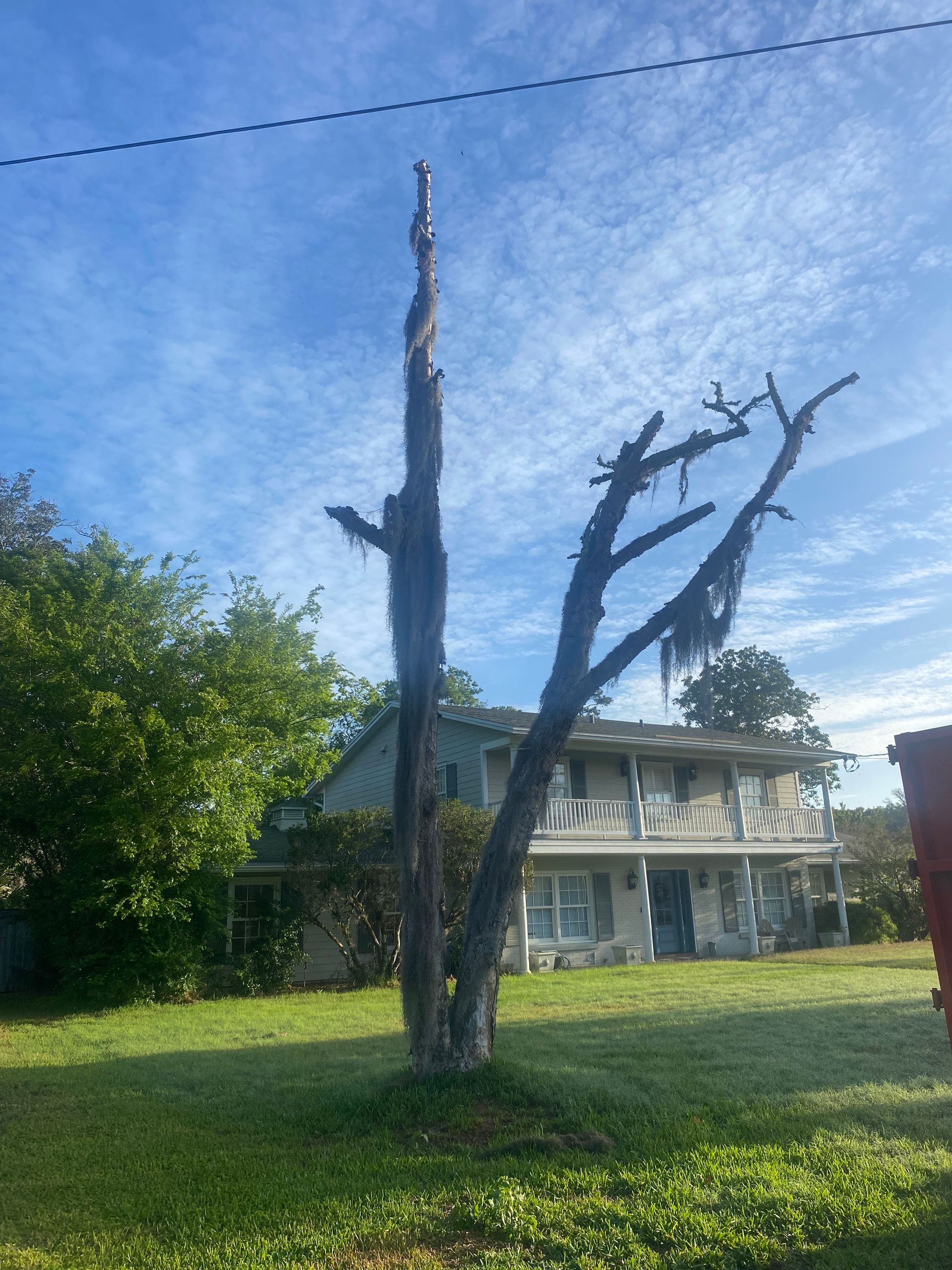 Residential | Tree Removal & Trimming by ProGreen Services