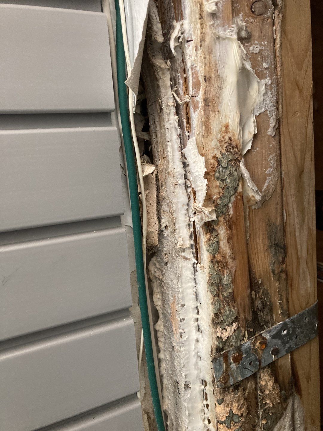 Mold Remediation using Containment by Accountable Home Services