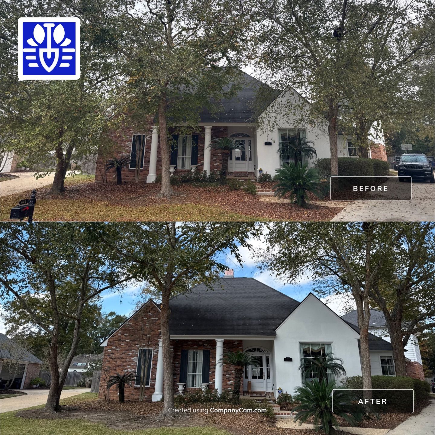 CutScape,LLC. featured photo.