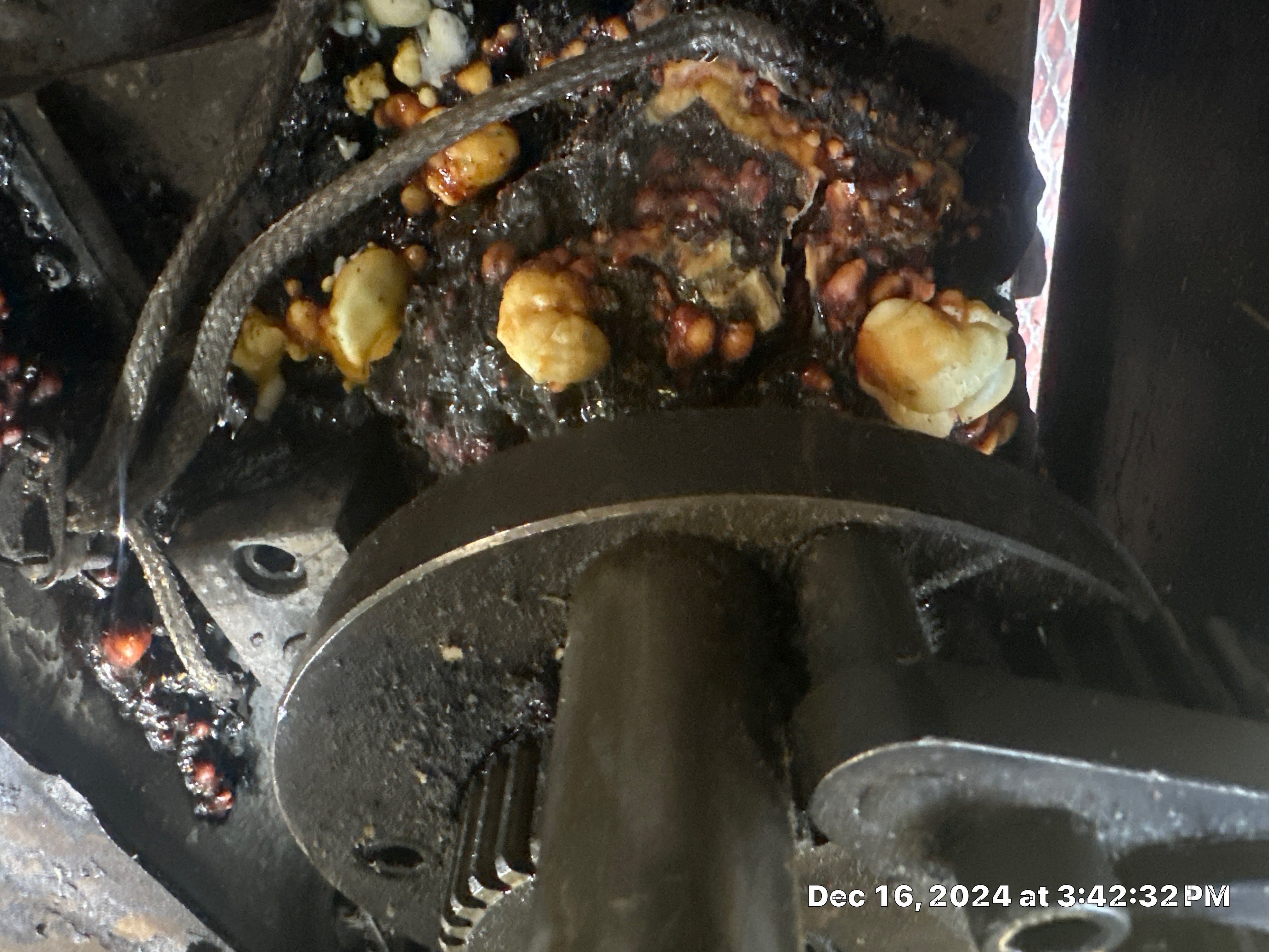 Project in Katy by Altium Packaging