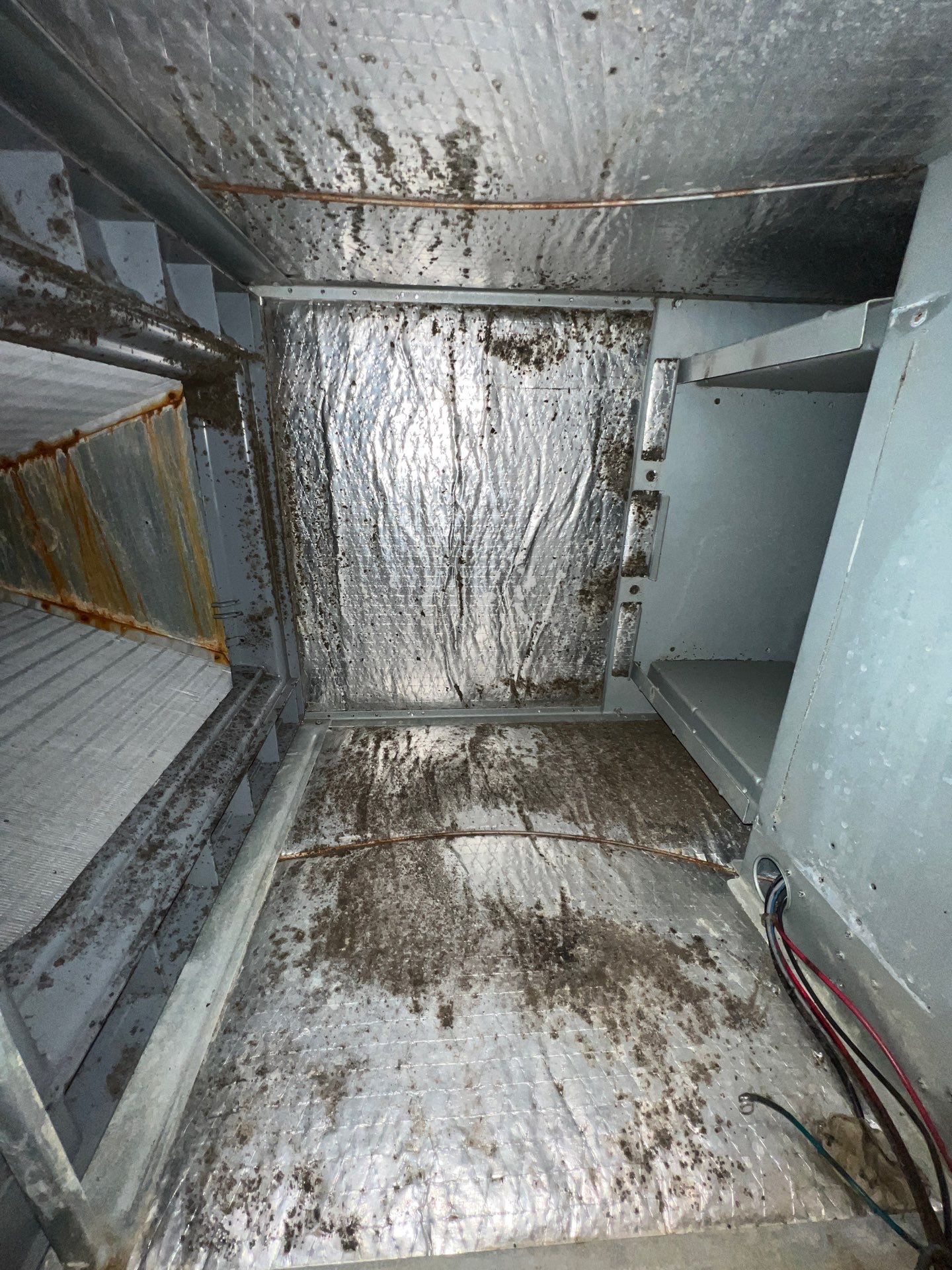 Air Duct Cleaning and Suspect Growth Removal Before and After Video/Photos Removal of mechanical component. by All Seasons Air Duct Cleaning 