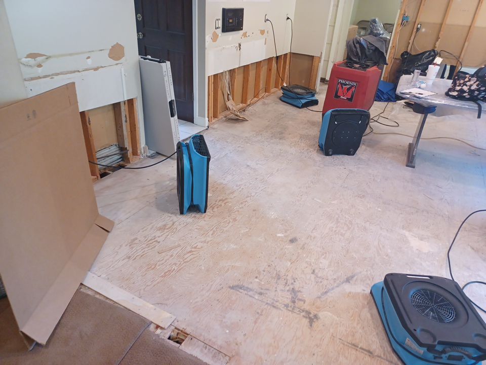 Project in Beverly Hills by EzDry Water Mitigation & Property Restoration