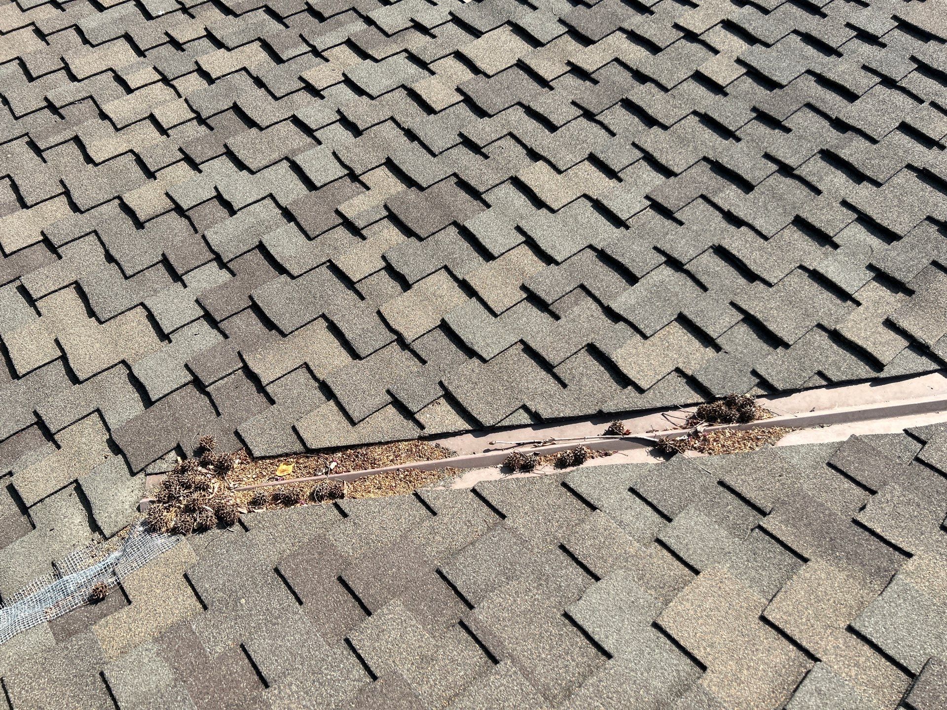 Solar Panel Critter Guard Installation by All One Solar Shine