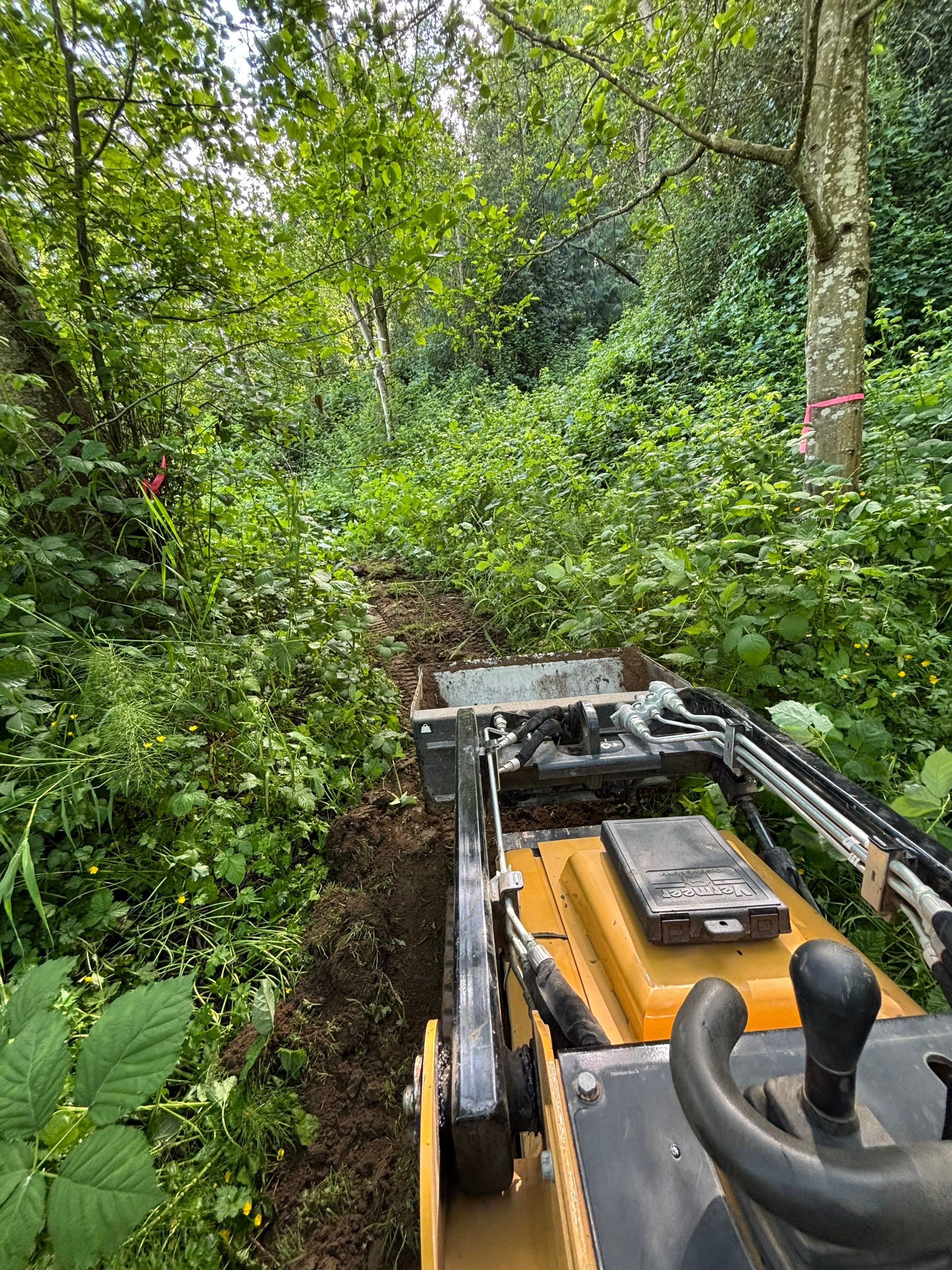 Maple Ave Renovation by Pacific Pine Landscape
