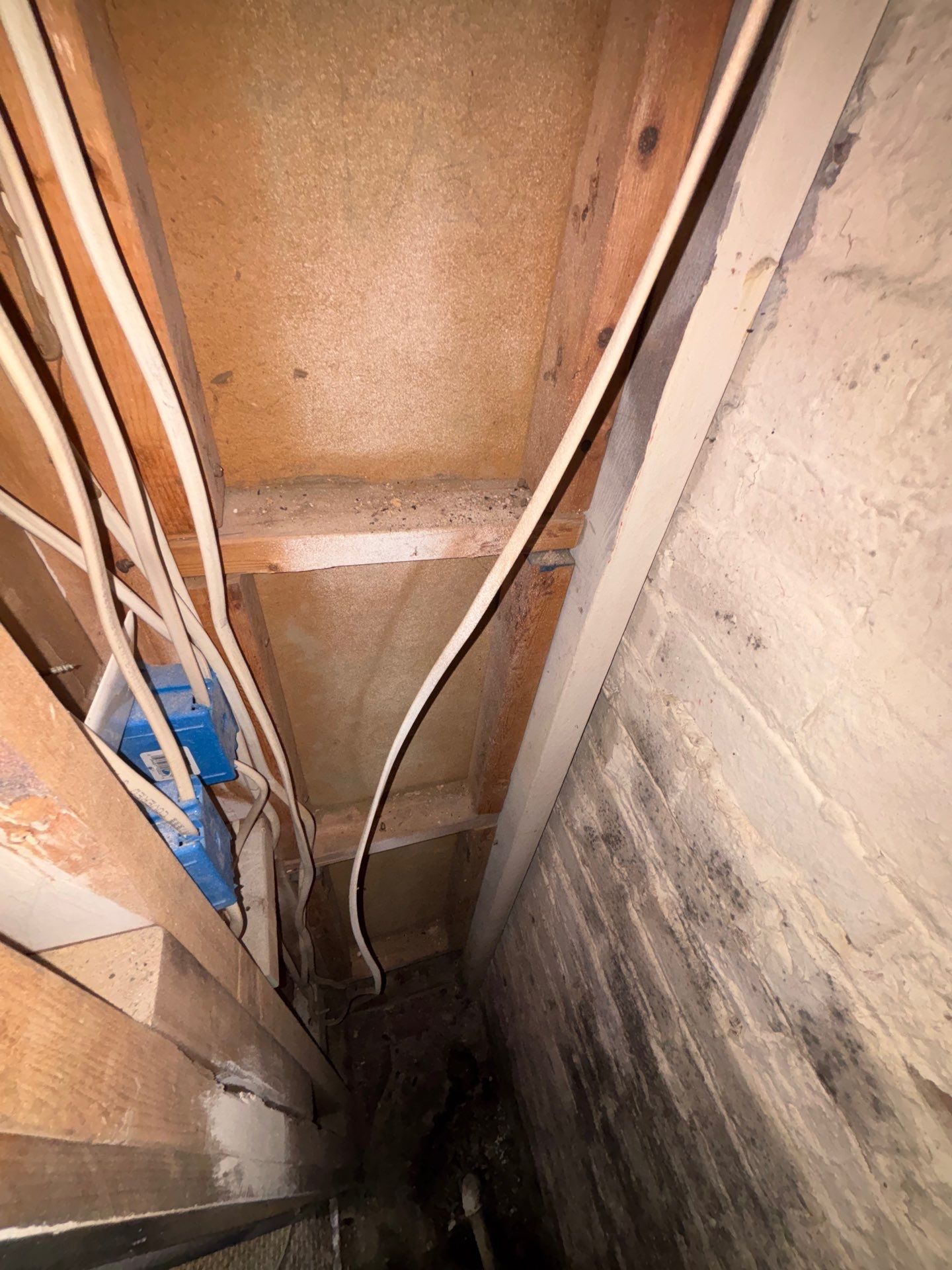 Project in Washington,DC by Greenspring Construction Services