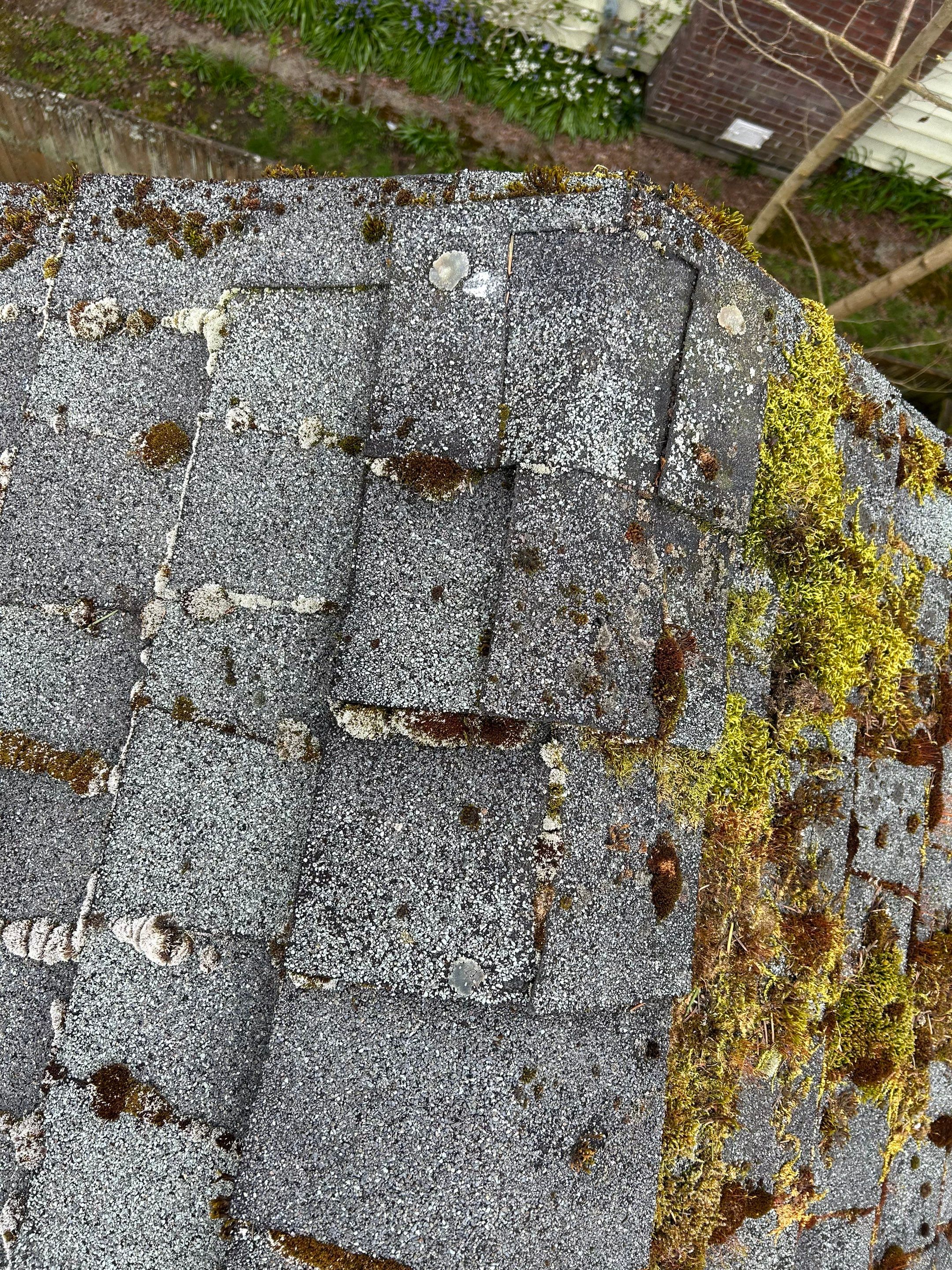 Project in Seattle  by Connolly Construction Company