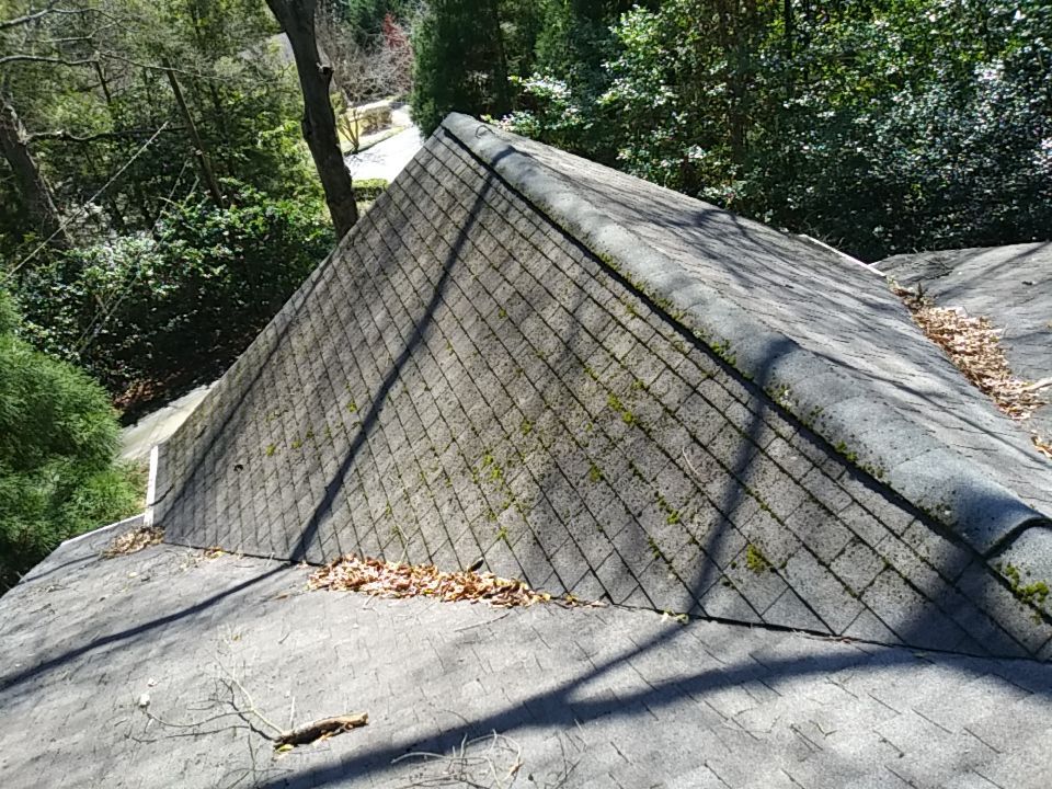 Resolving Leaks and Moss Growth by Georgia Roof Advisors
