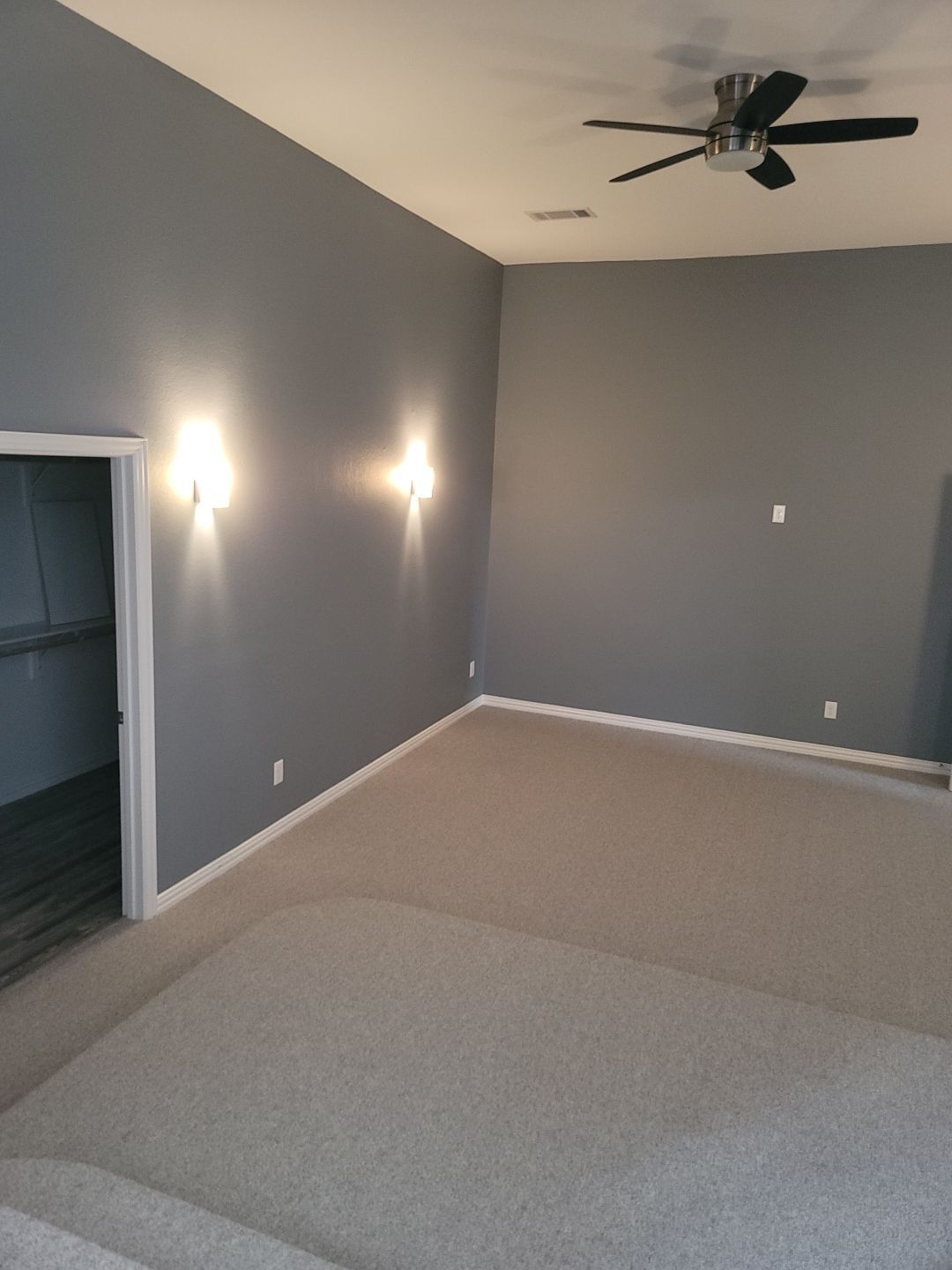 Fire Restoration project by Springtree Restoration 