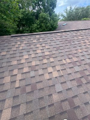 Shingle Reroof Replacement Winter Park FL