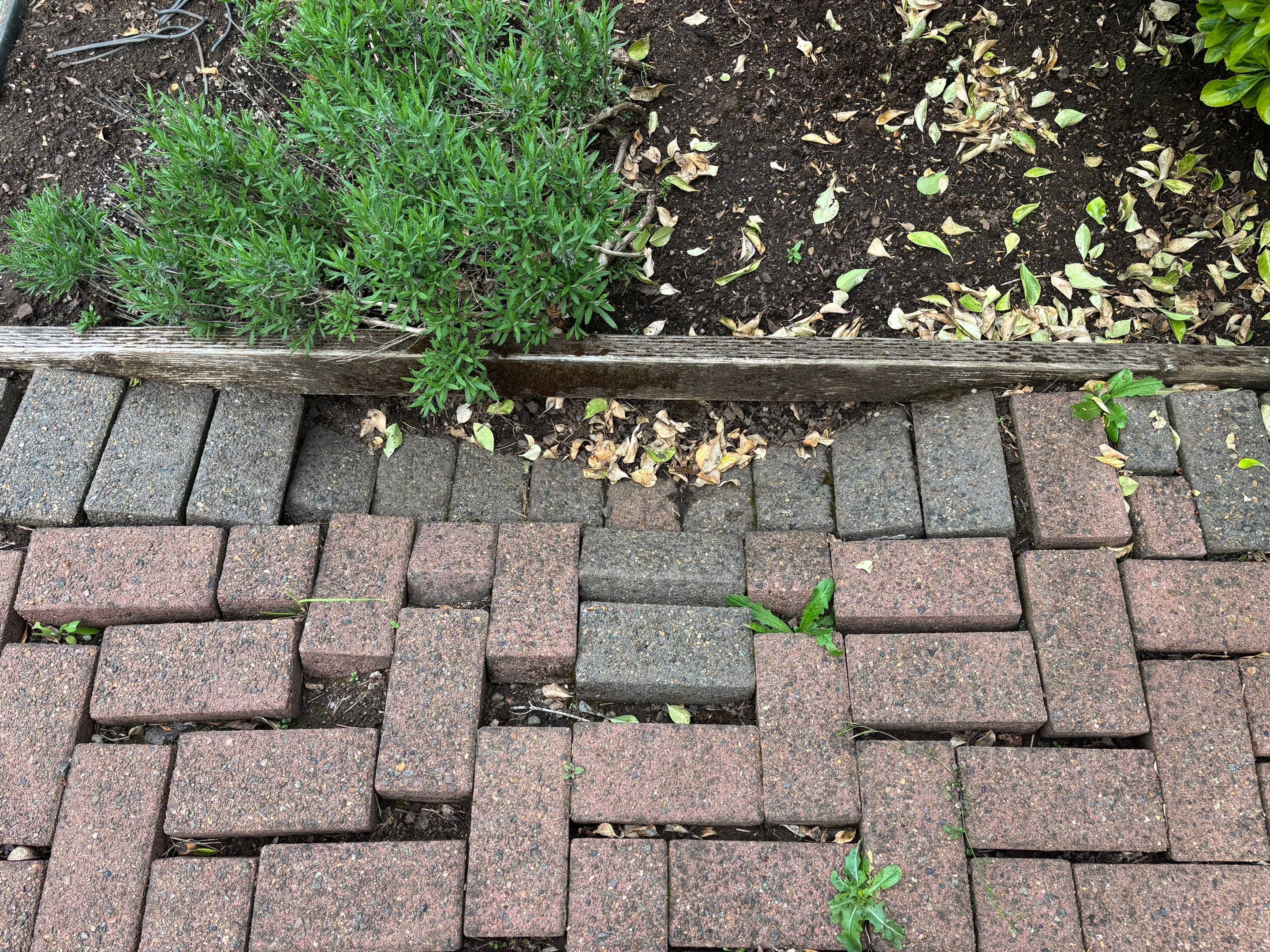 Pavers Restoration by Handyman State LLC
