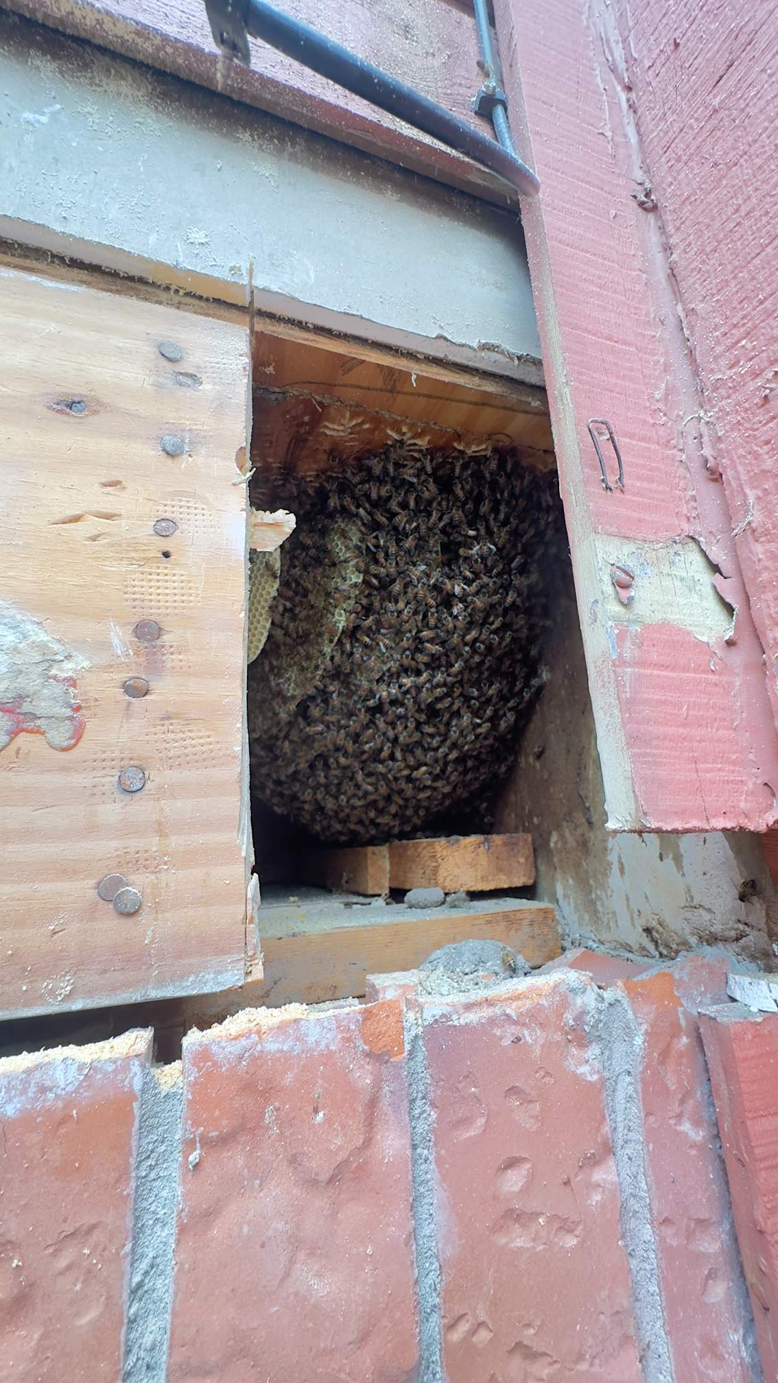 Apartment by Rockwall Honey Bee Company