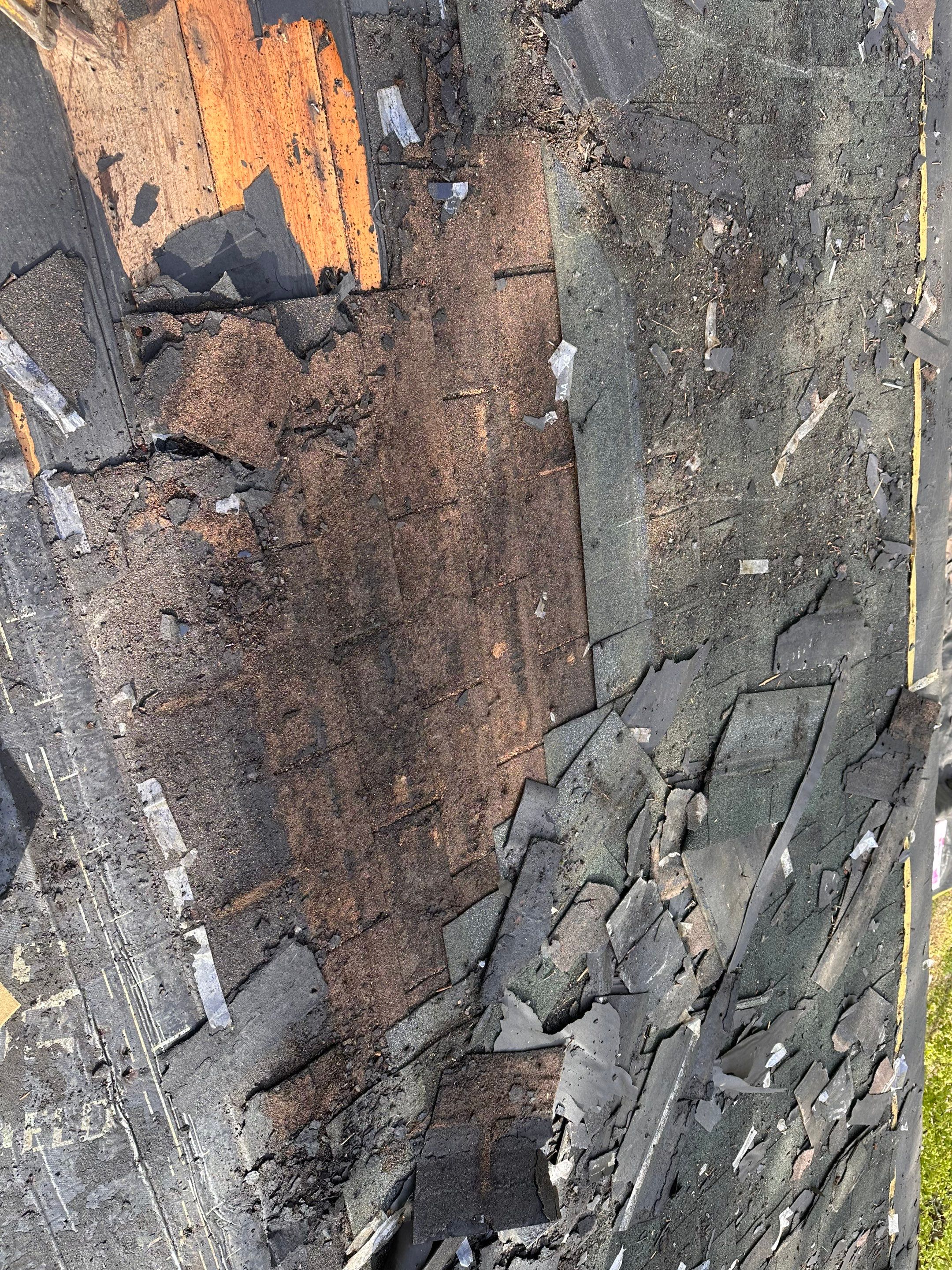 Green Architectural Asphalt Shingle Roof Replacement in Epsom by Tall pine roofing