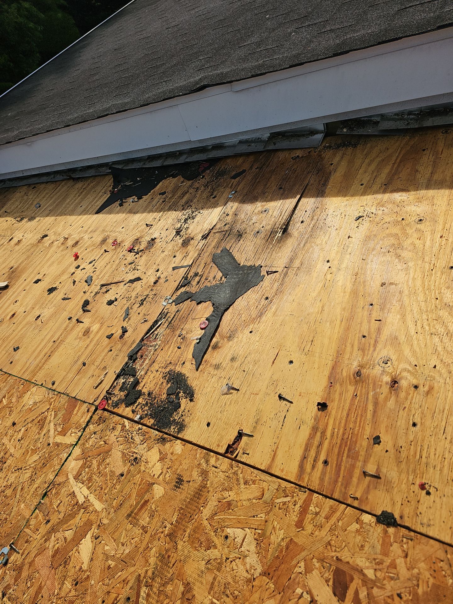 Roof Replacement - Colonial Slate by Winchester Roofing