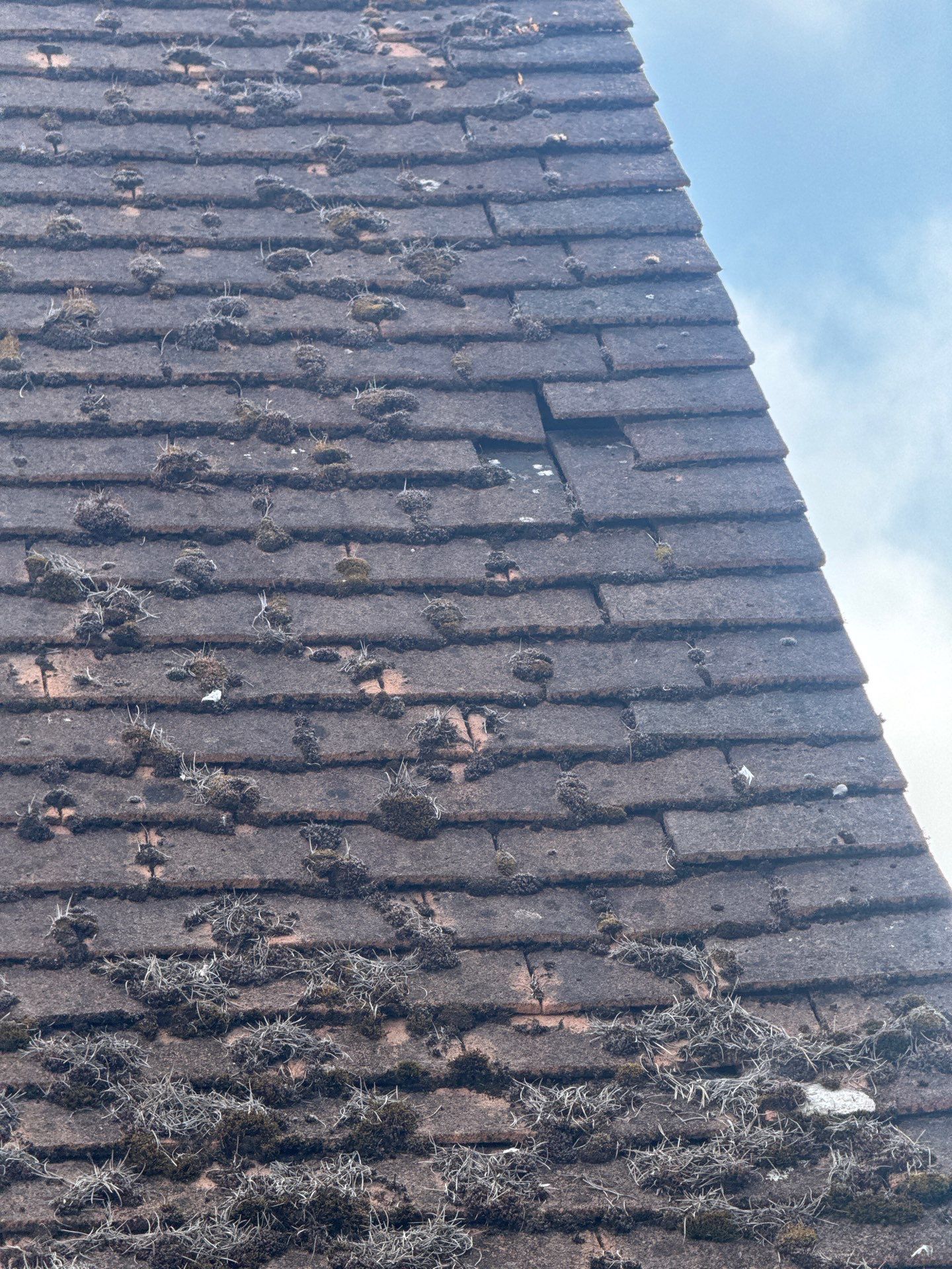 Roof Clean  - Moss Removal - Gutter Clean using Honda 15lpm Low Pressure Washing Machine by Ges Exterior Cleaning ltd