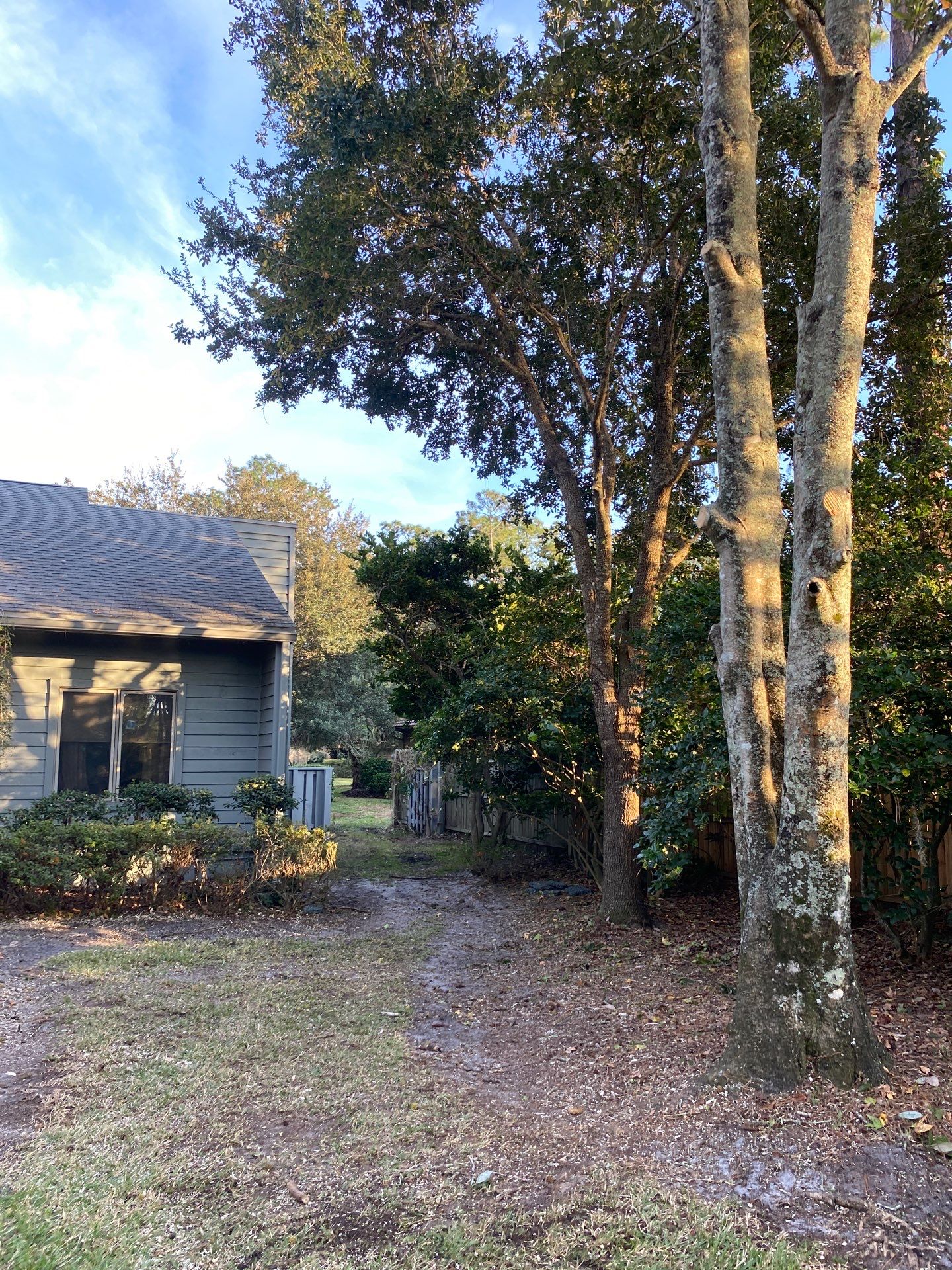 Deerwood Resident | Tree Trimming & Removal by ProGreen Services