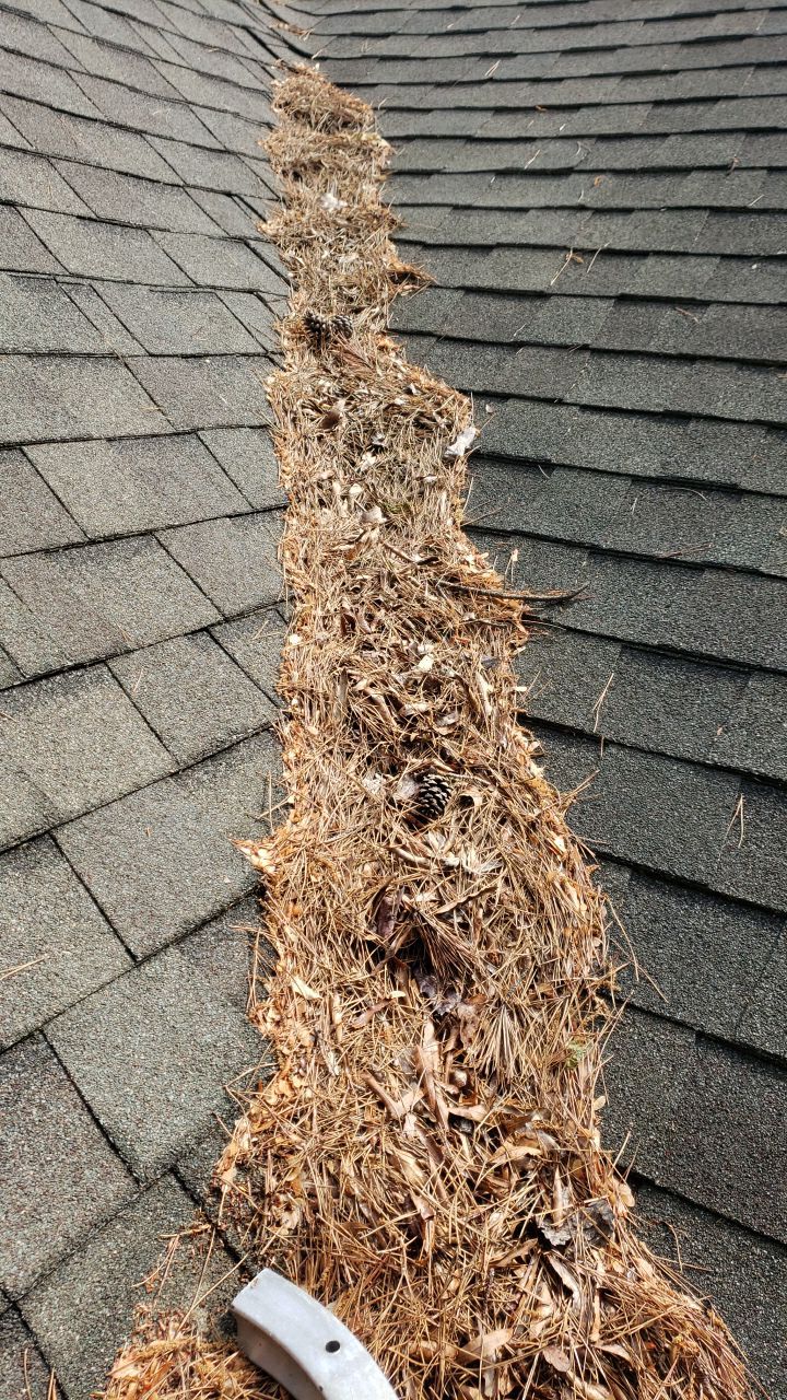 House Wash using cleaner by Power Wash Masters LLC