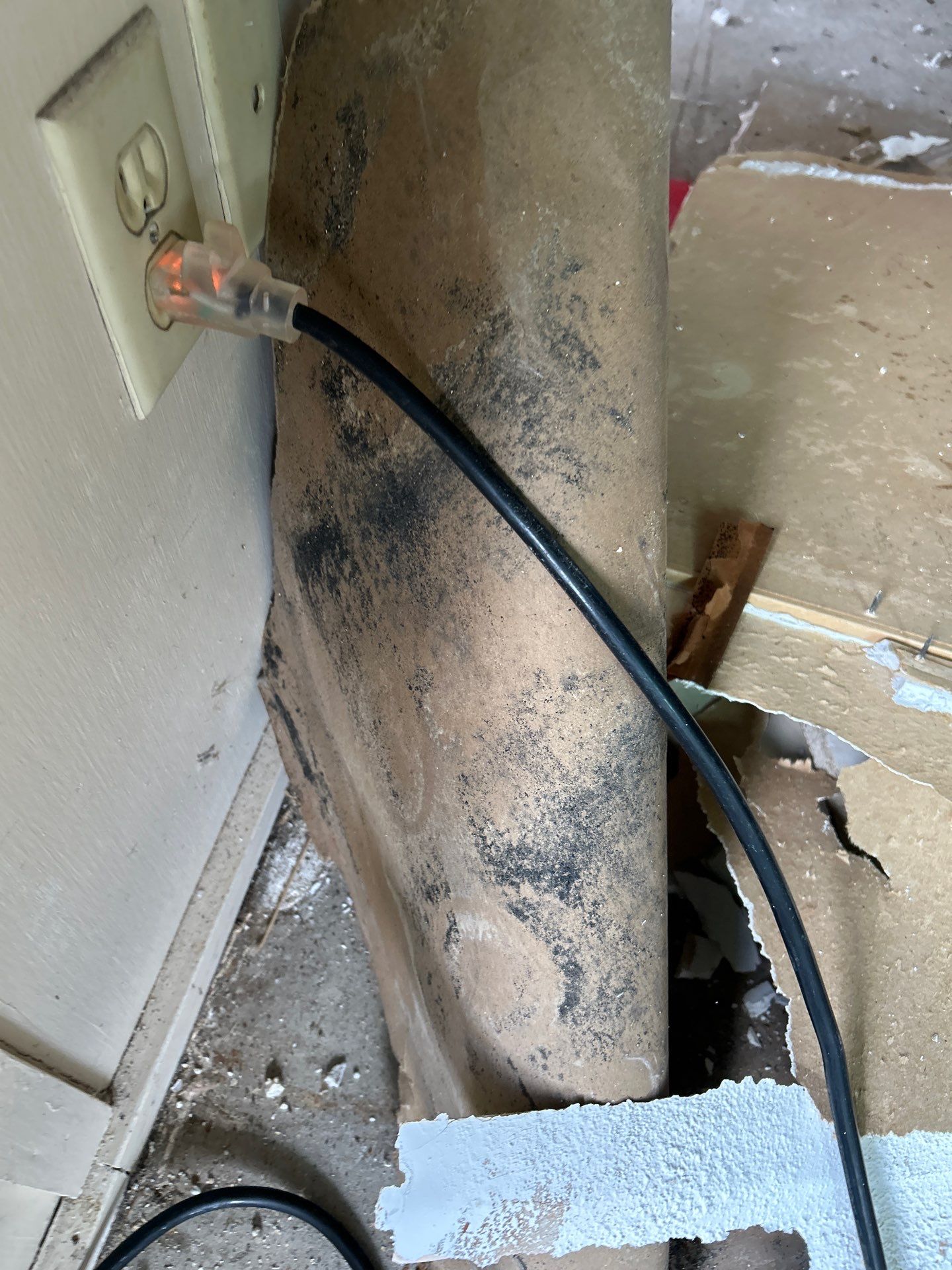 Water Damage Repair In Bradenton, FL by Ampm Restoration Services