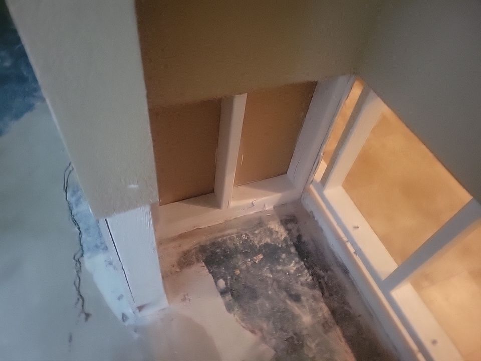 Mold Damage by Accountable Home Services