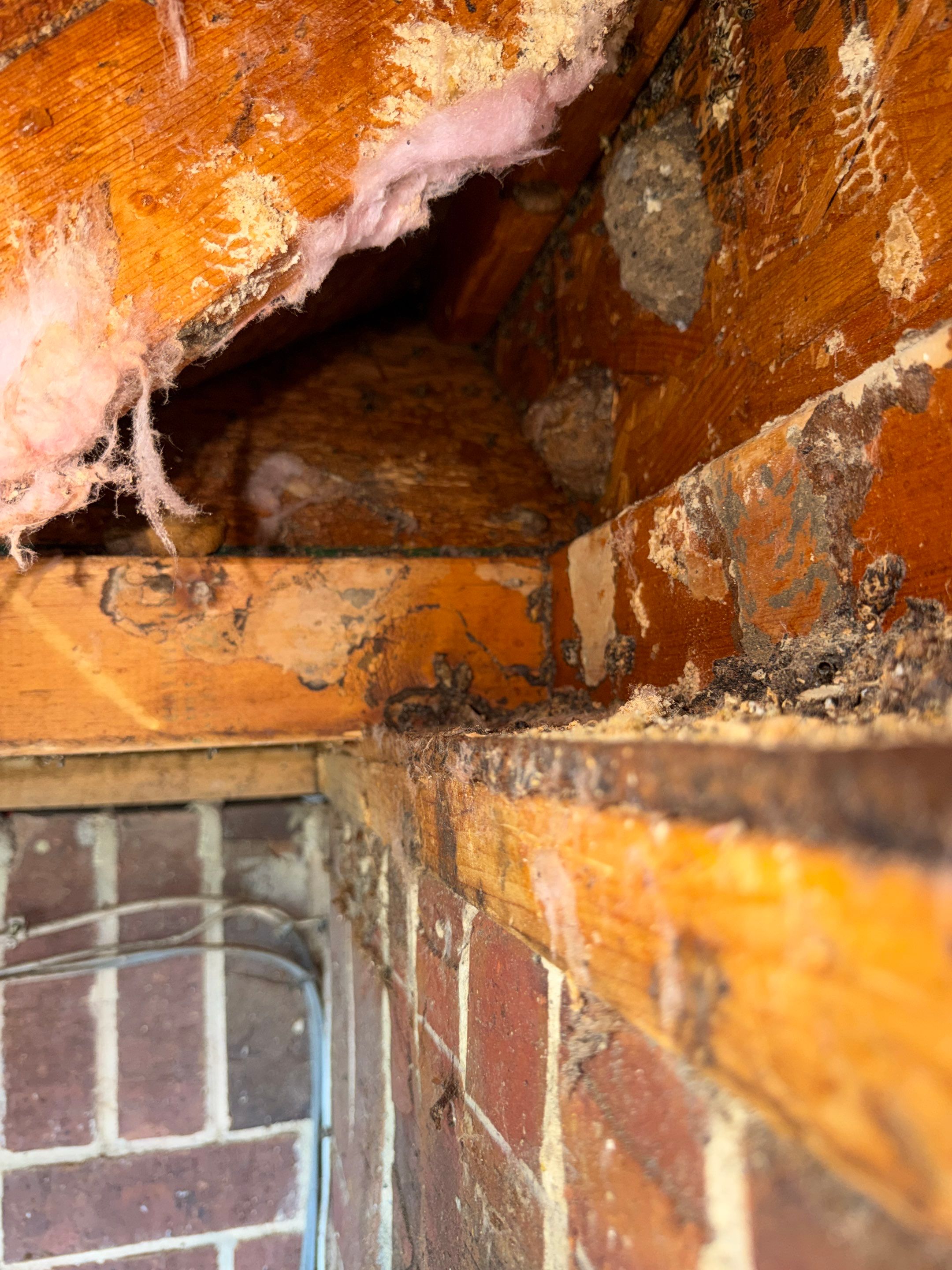 Project in Heath, TX by Rockwall Honey Bee Company
