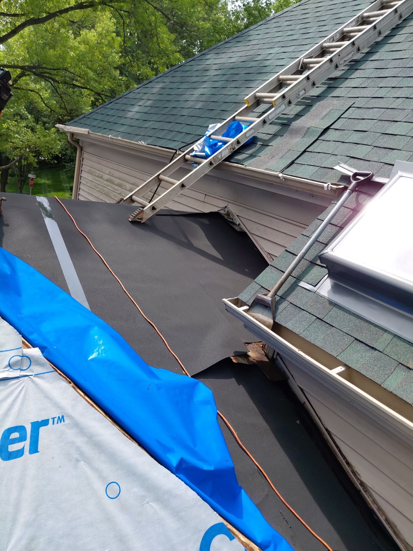 Springfield: Roof Replacement with CertainTeed Landmark Pro in Max Def Evergreen by RM Banning, Inc.