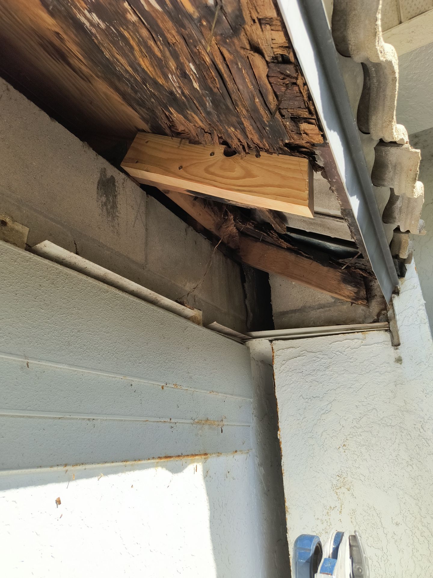 Complete Roofline Upgrade with Soffit, Fascia & Gutters Tampa FL by Gutter Professors