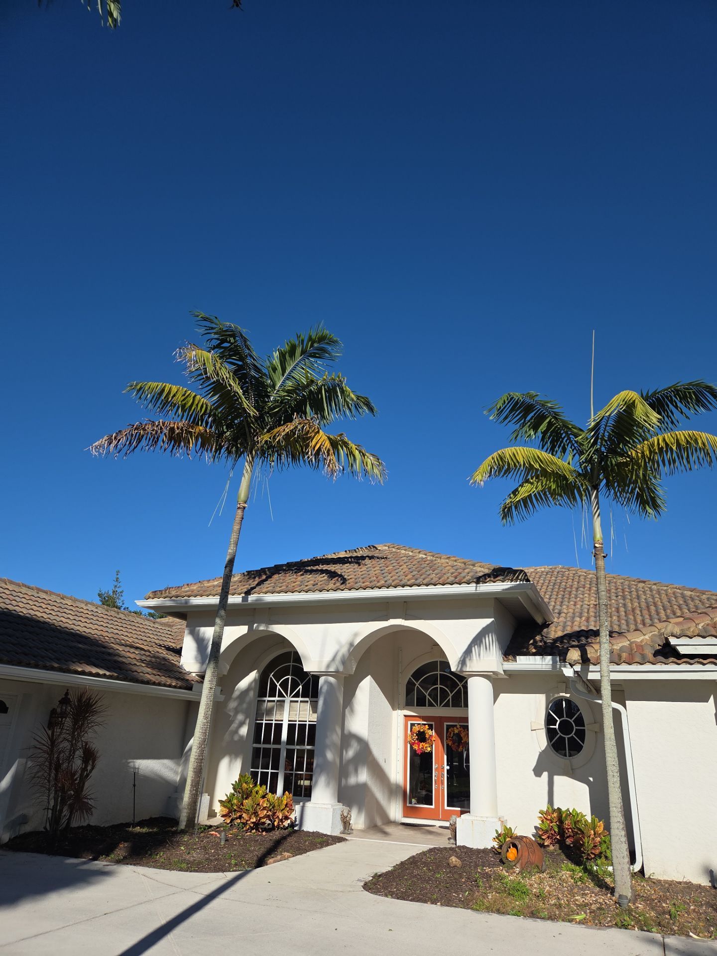 🌴 Landscape Removal and Install in Palm City by Alpha Zeta Enterprises Inc