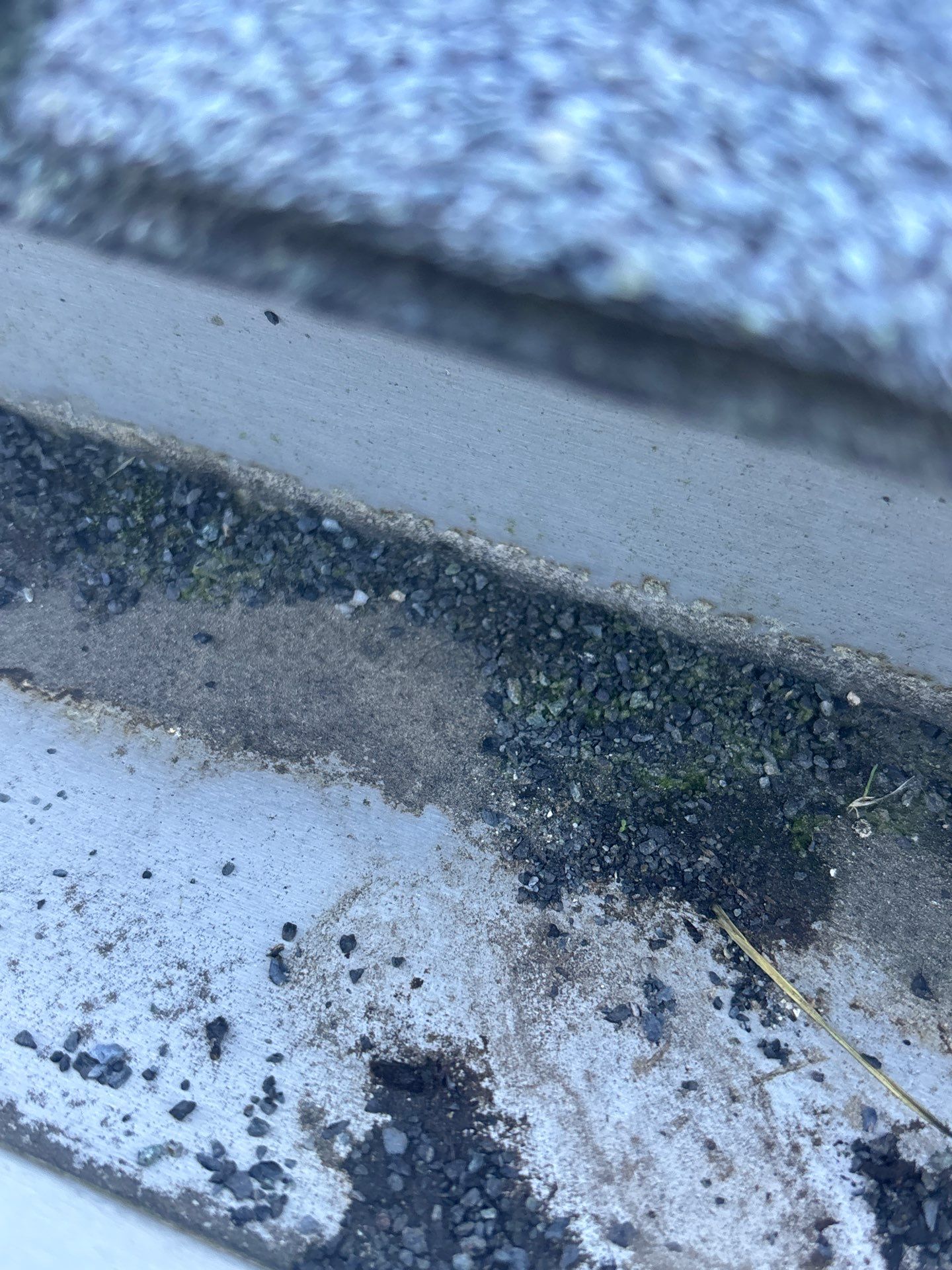 Project in Richmond by Roof Maxx of Midlothian