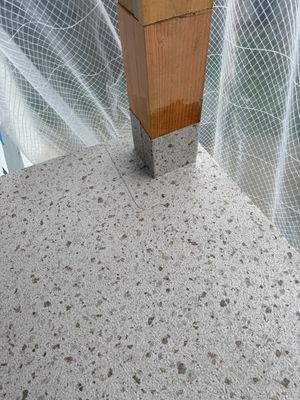 Sweet Duradek in North Seattle for Lebron