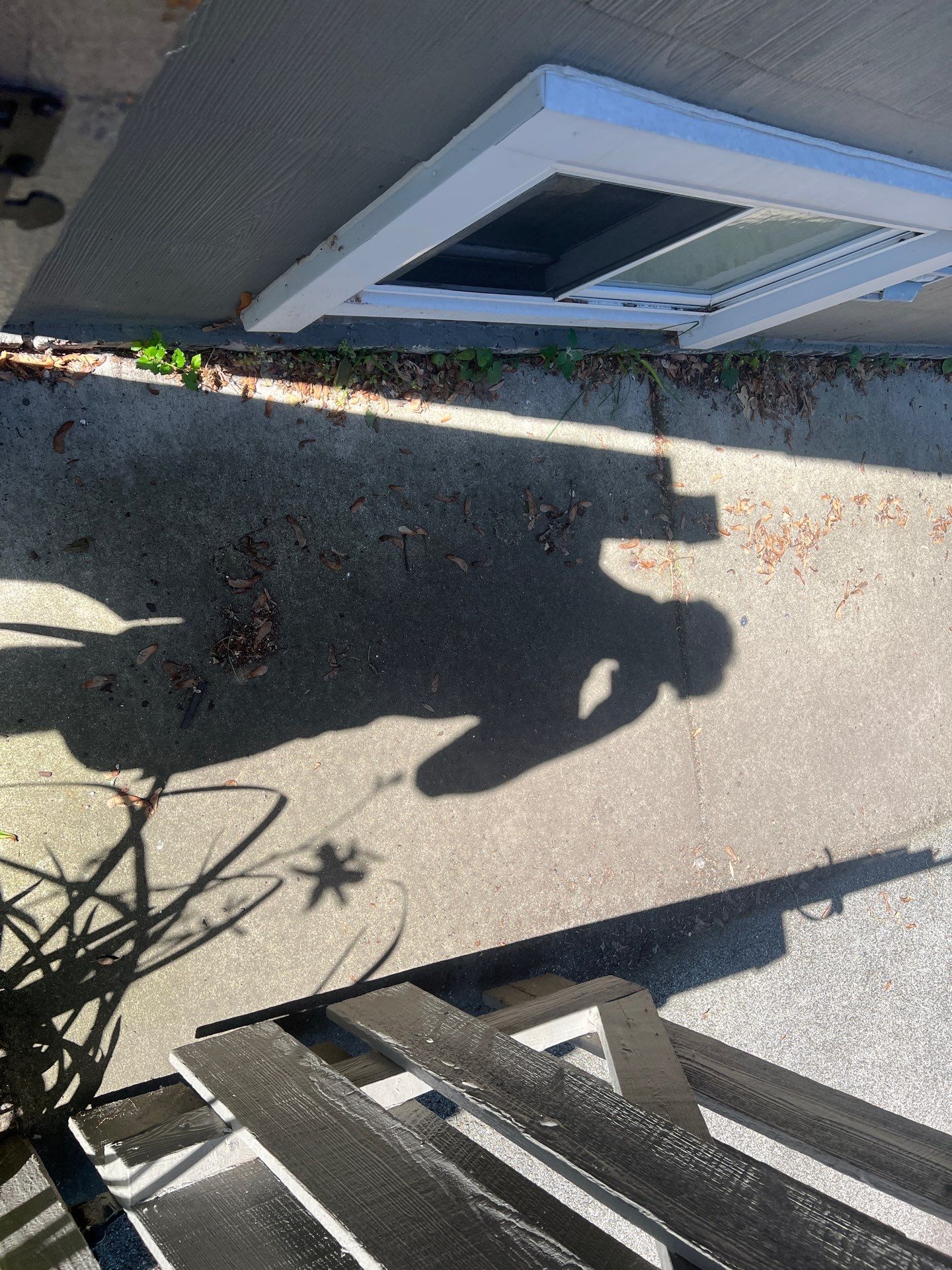 Brick paver cleaning and sealing by Northern Power Washing LLC.