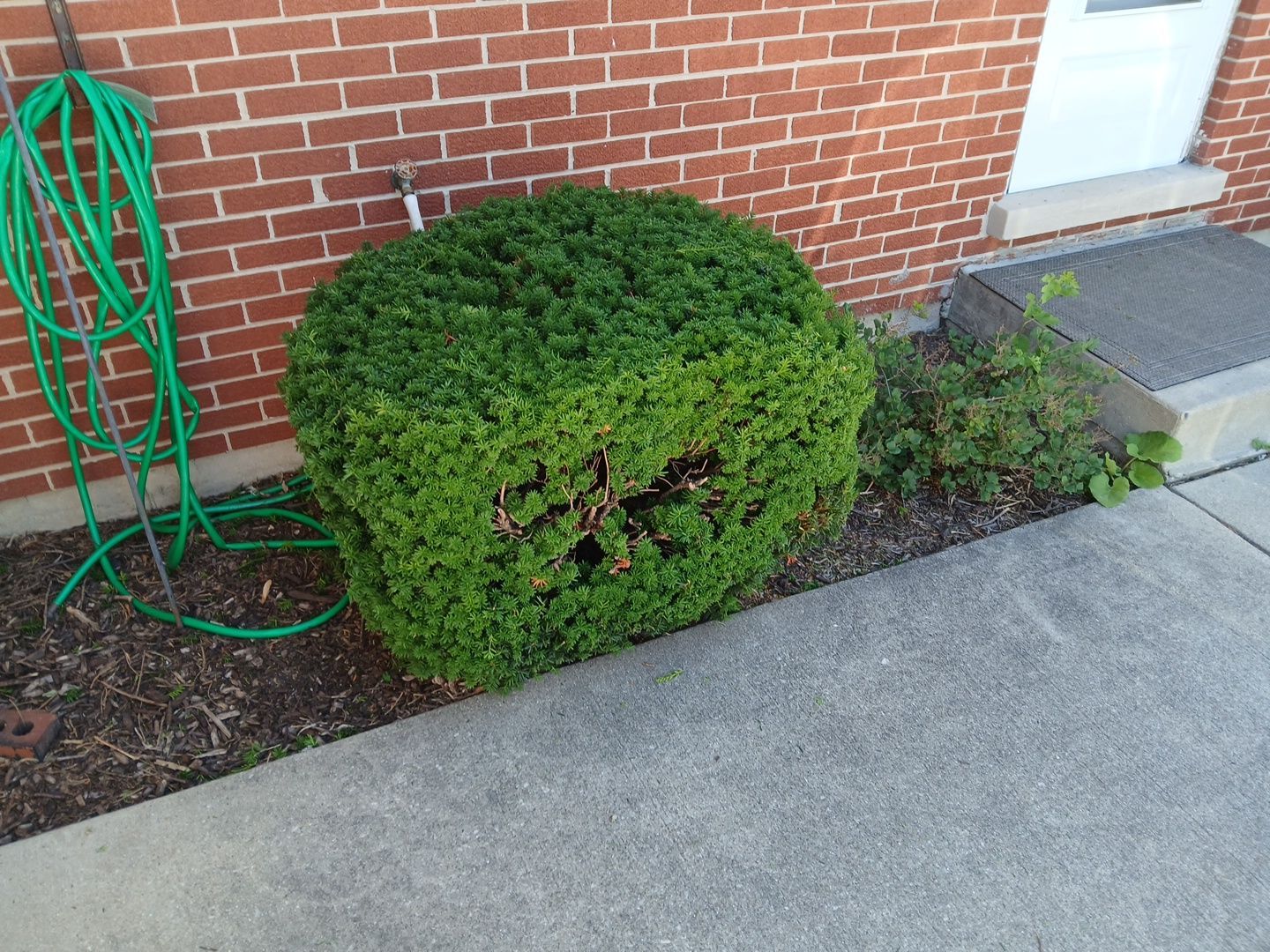 Martha C. - Mount Prospect, IL by A&N 