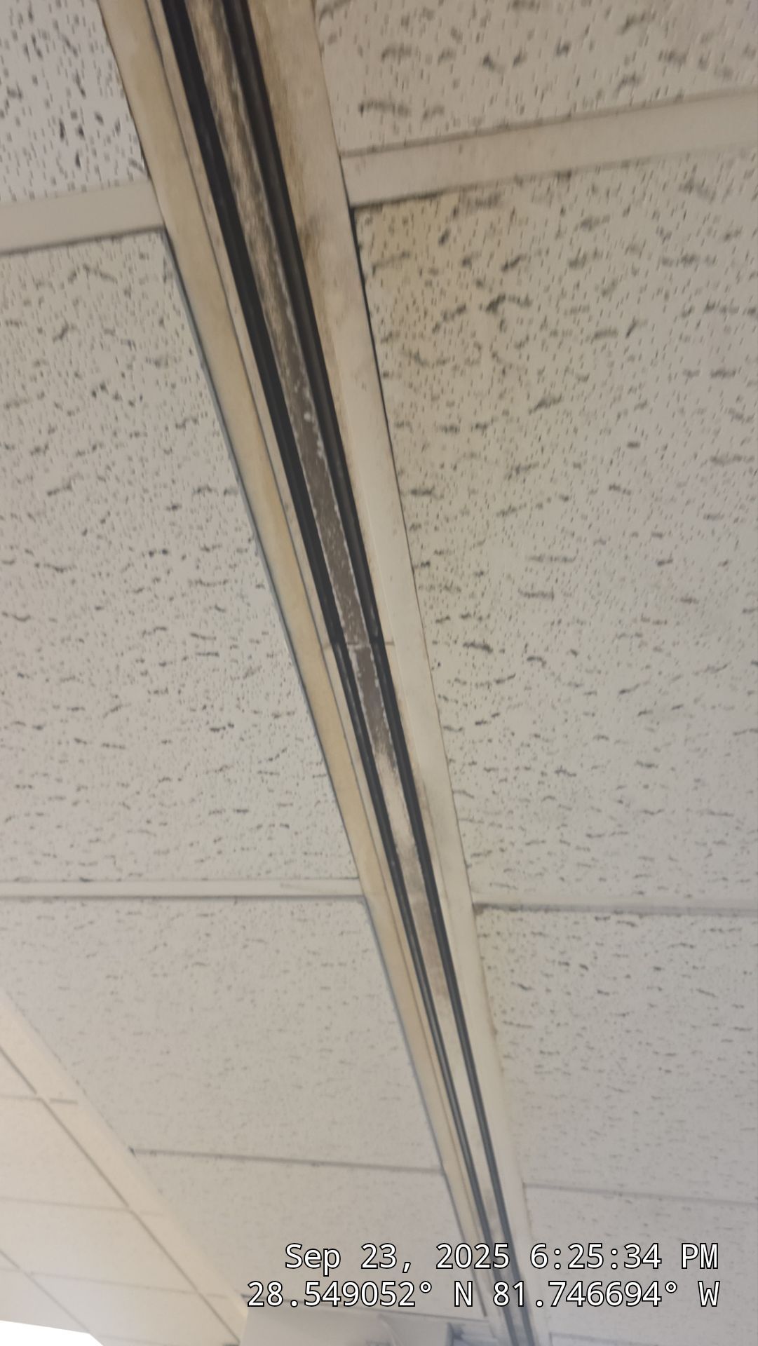 Commercial Air Duct Cleaning in Clermont by Hygienic Air, Inc