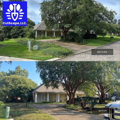 LANDSCAPE SERVICES: CLEAN OUT / TRIM / BRUSH DEBRIS REMOVAL