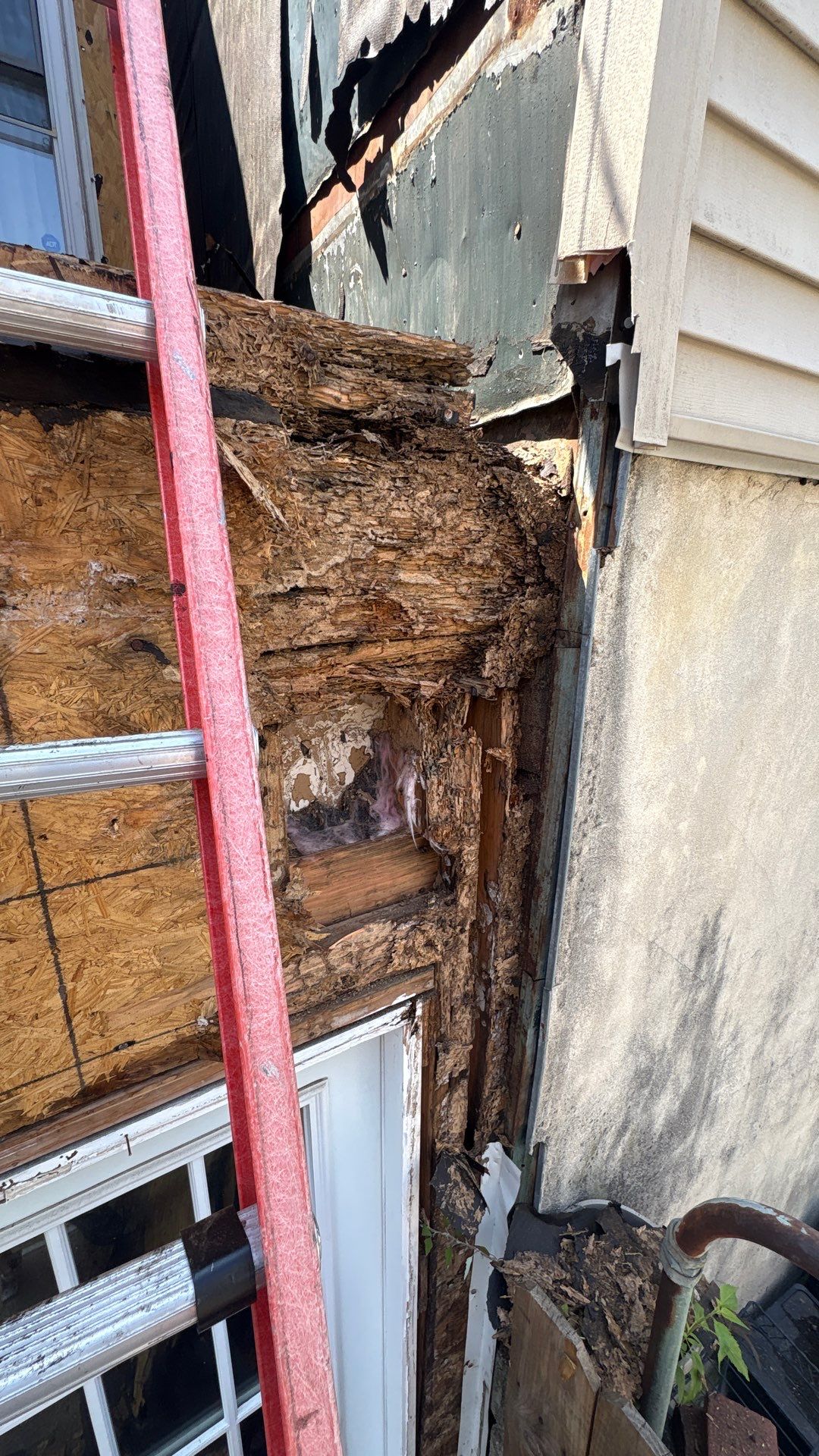 Back Wall Siding Replacement & Breezeway Roof. by Philadelphia Quality Roofing