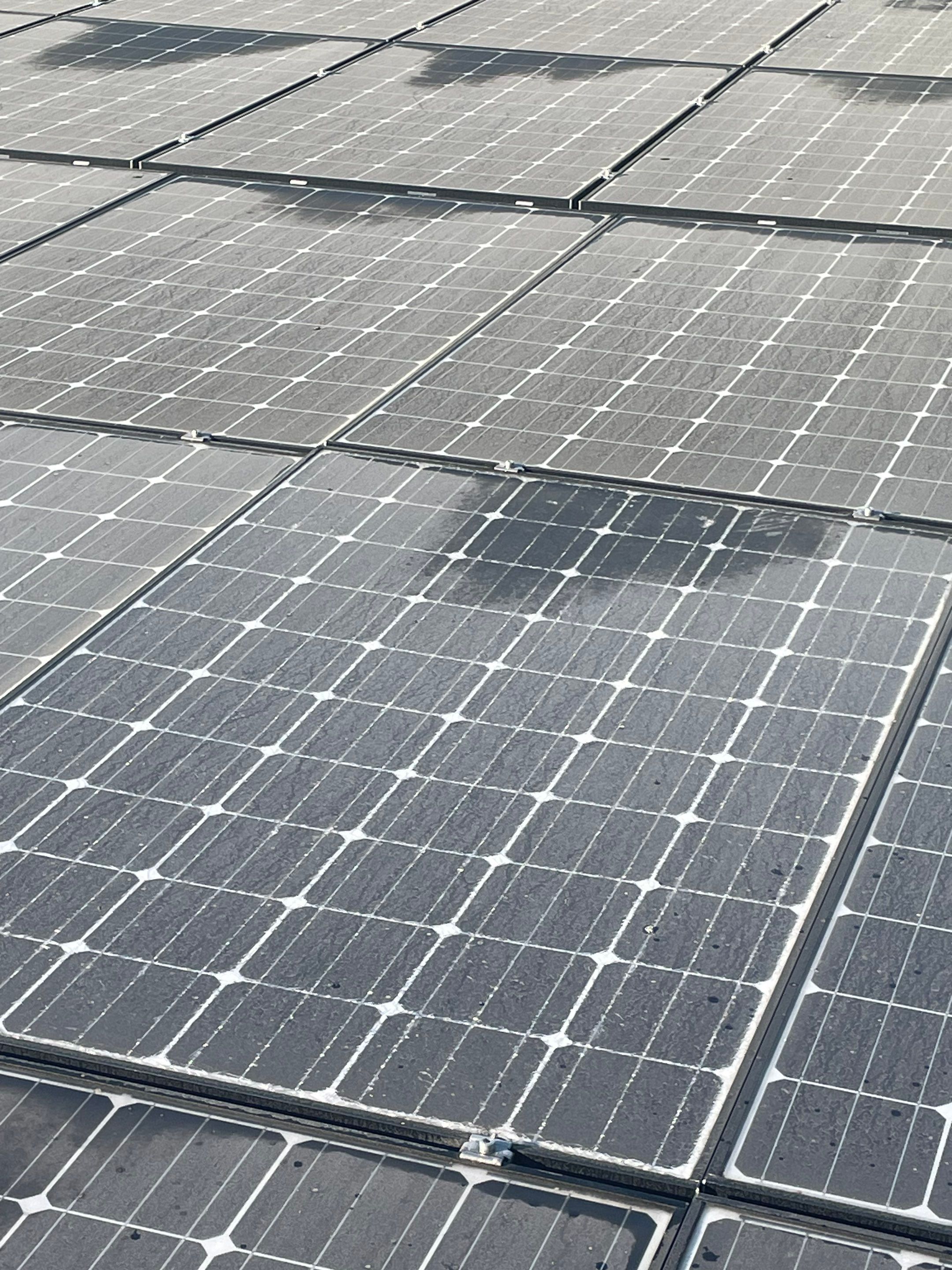 Commercial Solar Panel Cleaning for Chandler School in Pasadena Ca by Palm Coast Solar Cleaning