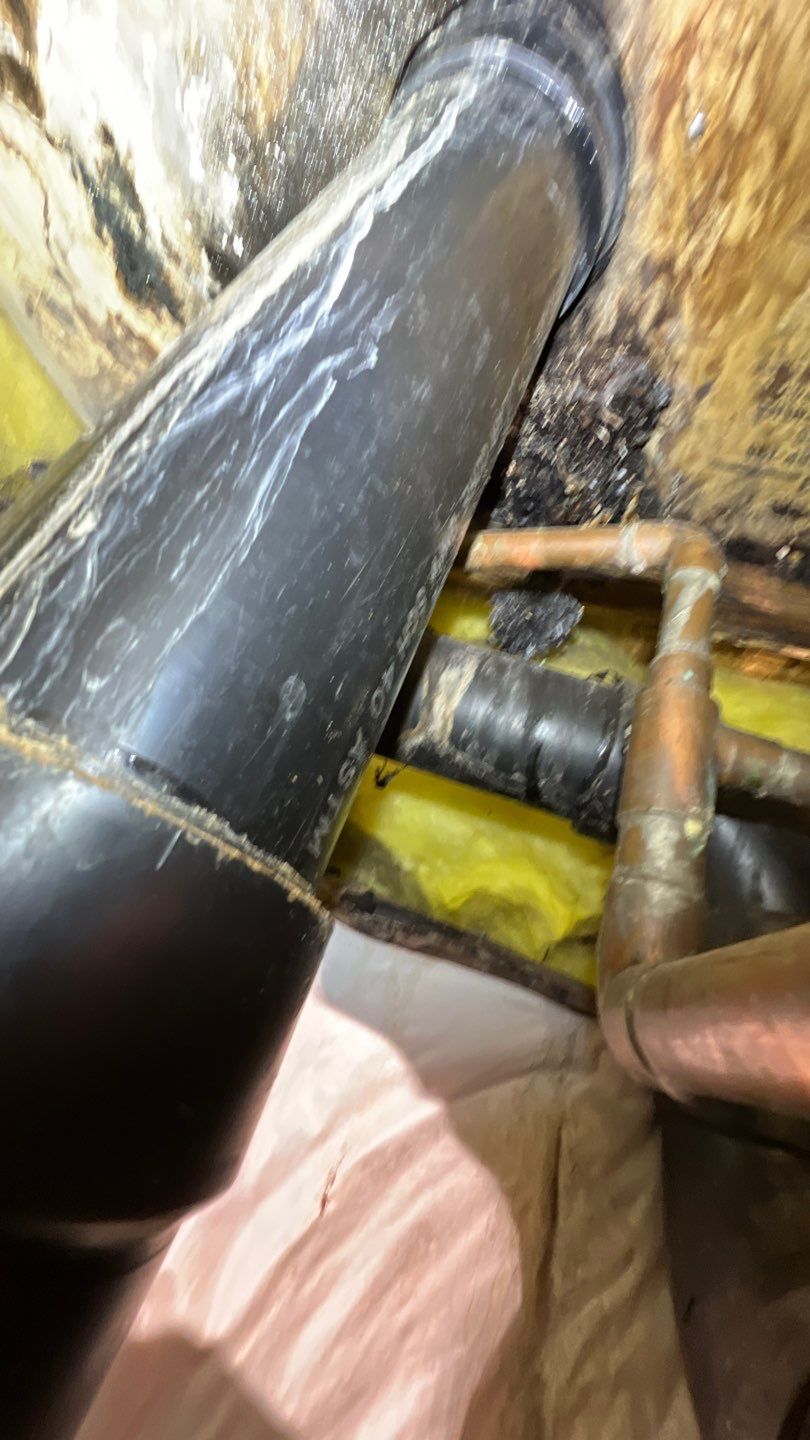 Mold Remediation by Accountable Home Services