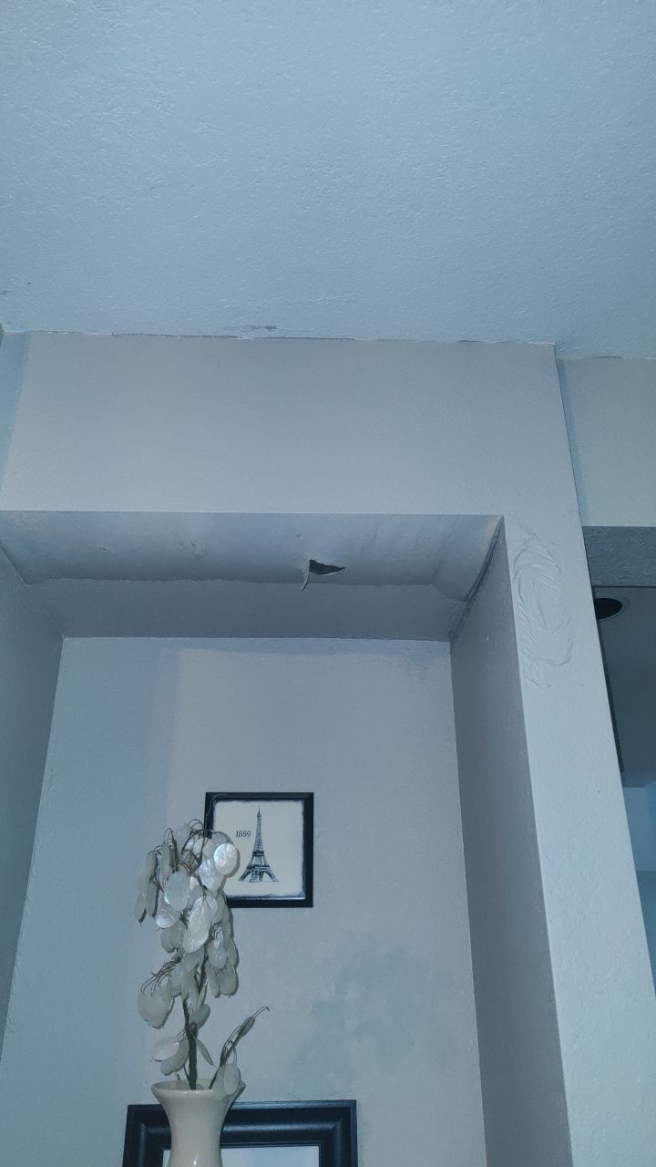 Water Damage by Accountable Home Services