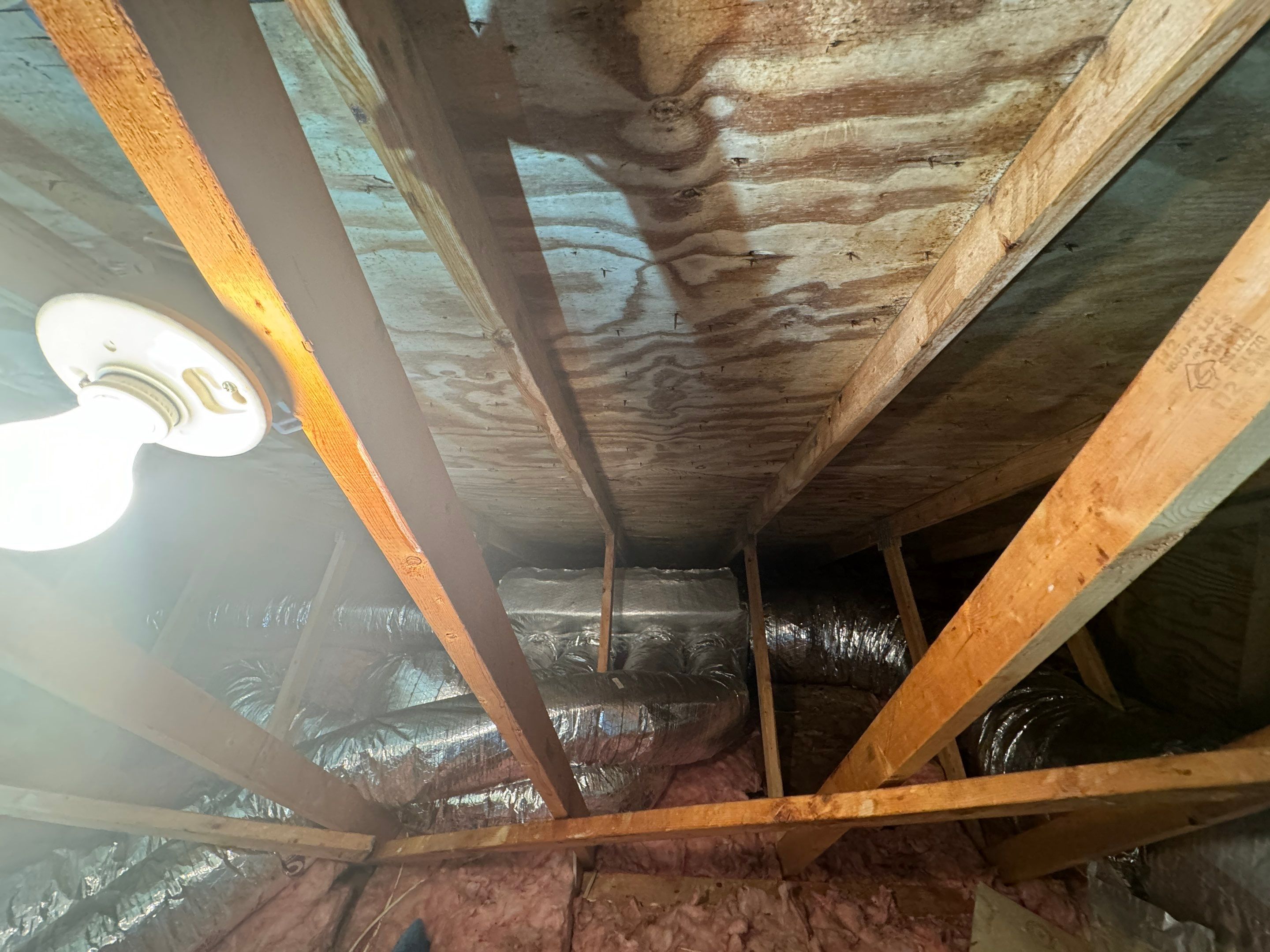 Attic Mold Remediation by Home Guarantee, LLC