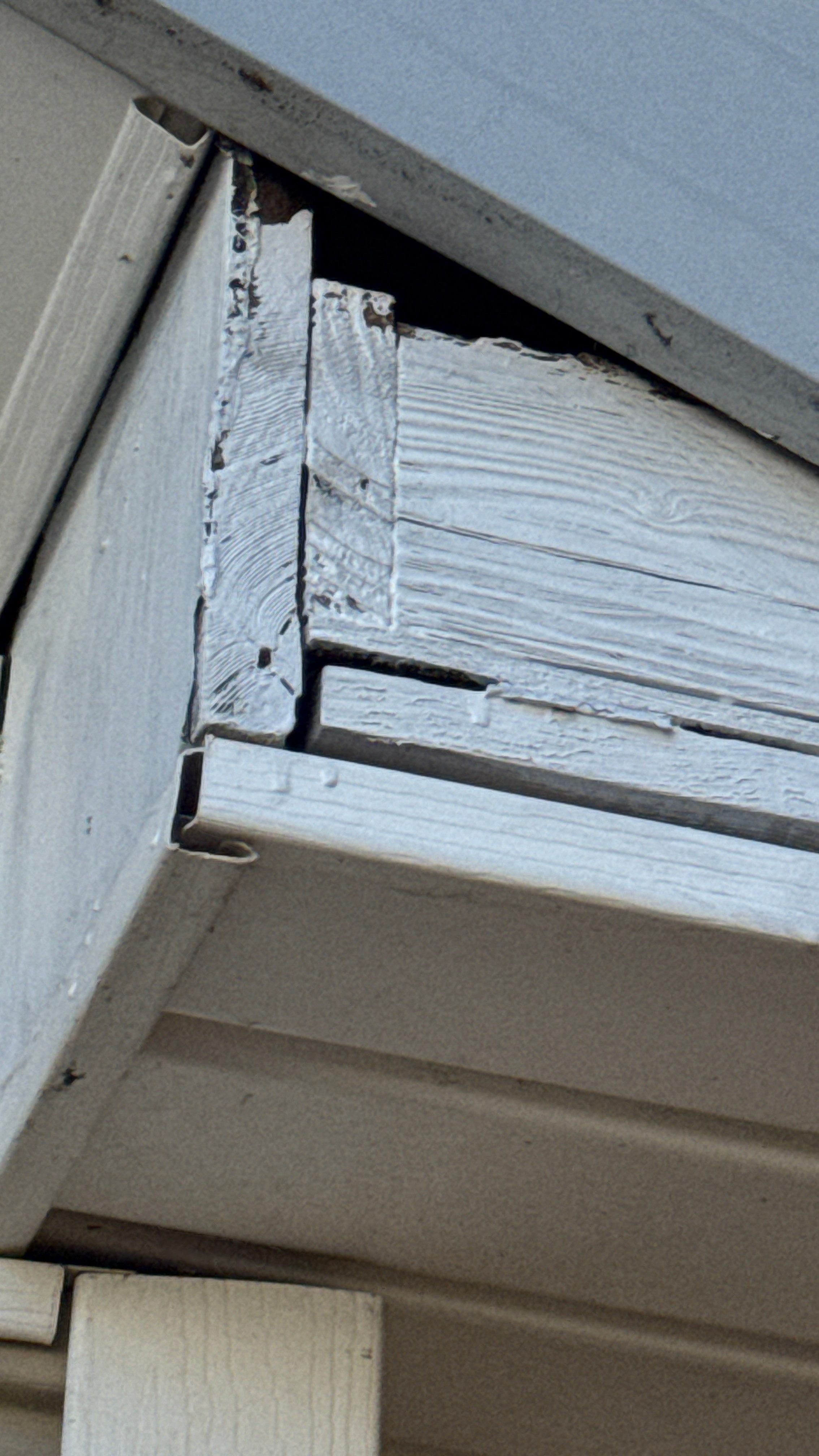 Roof Leak Repair + Fascia/Drip Edge & Gutter Reset - Belleville, IL by Legendary Services Company LLC.